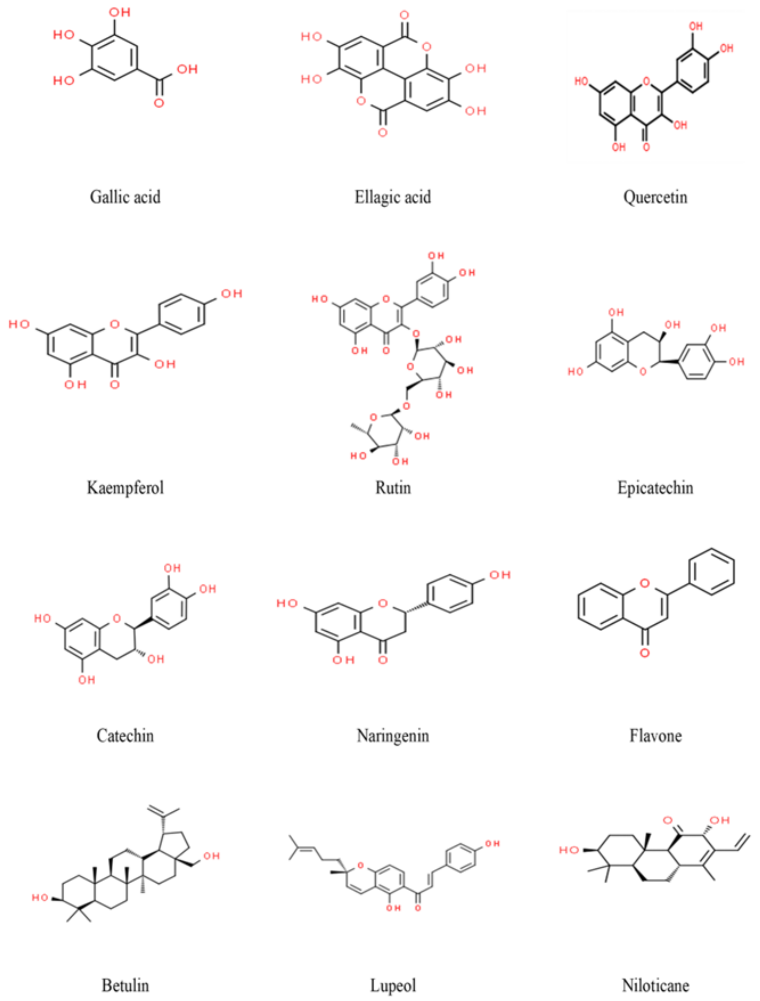 Nutrients 16 04278 g004