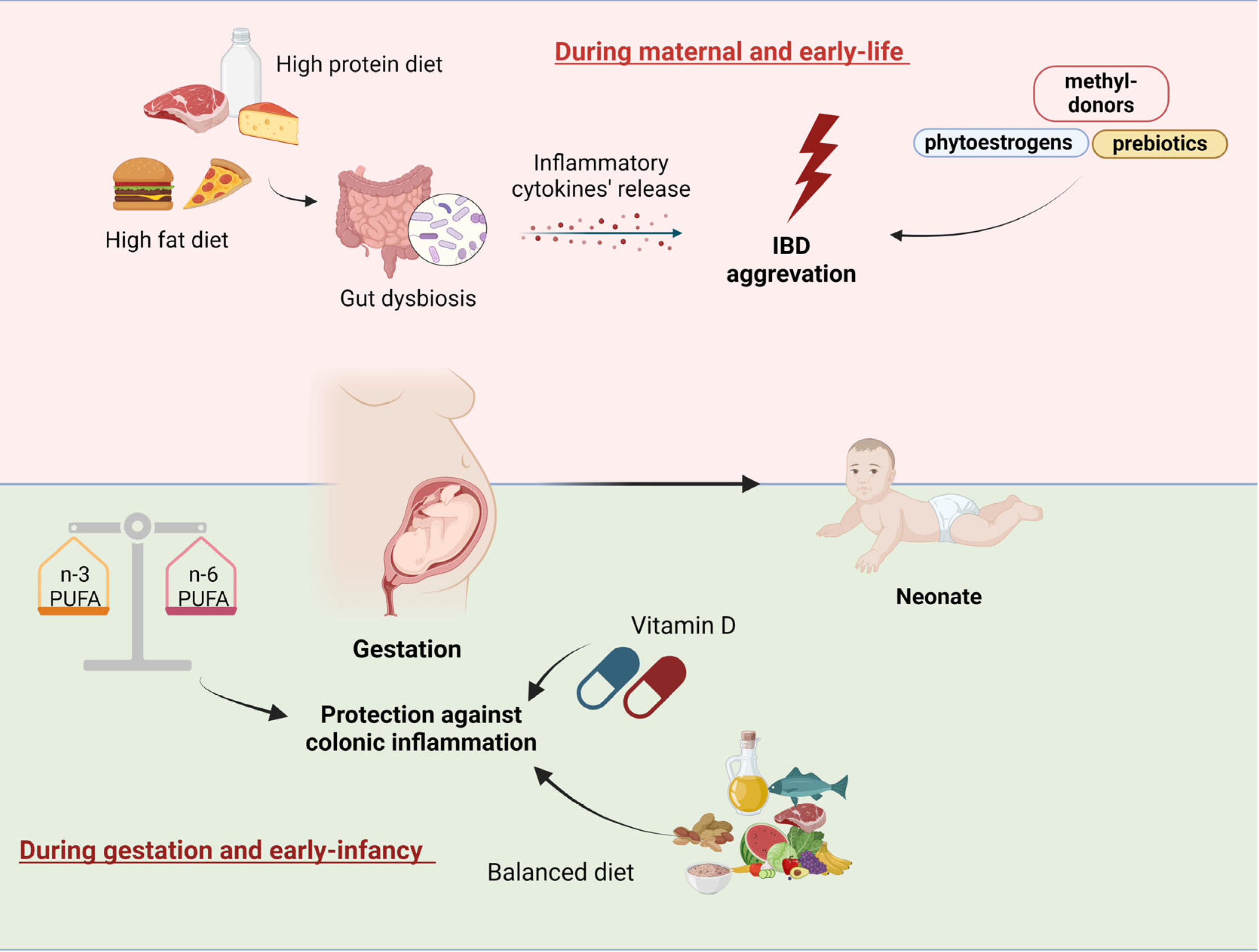 Nutrients 16 04292 g002