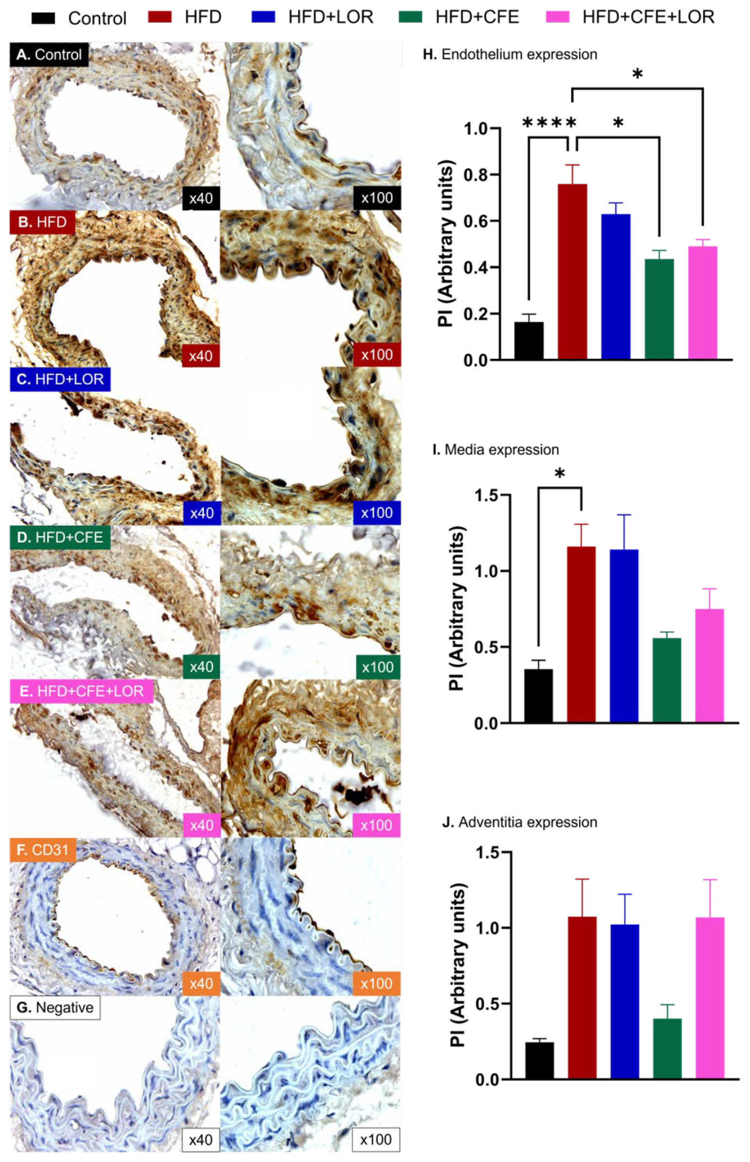 Nutrients 16 04296 g007