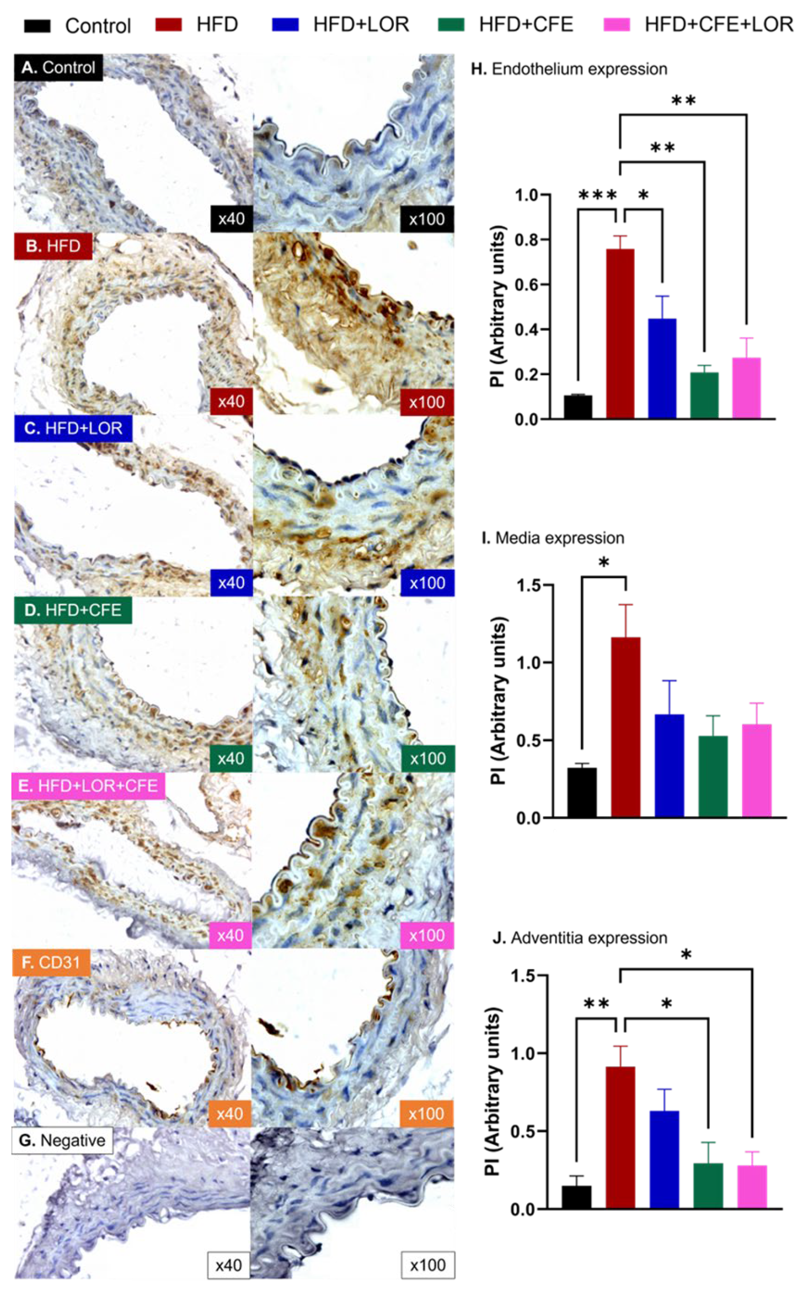 Nutrients 16 04296 g008