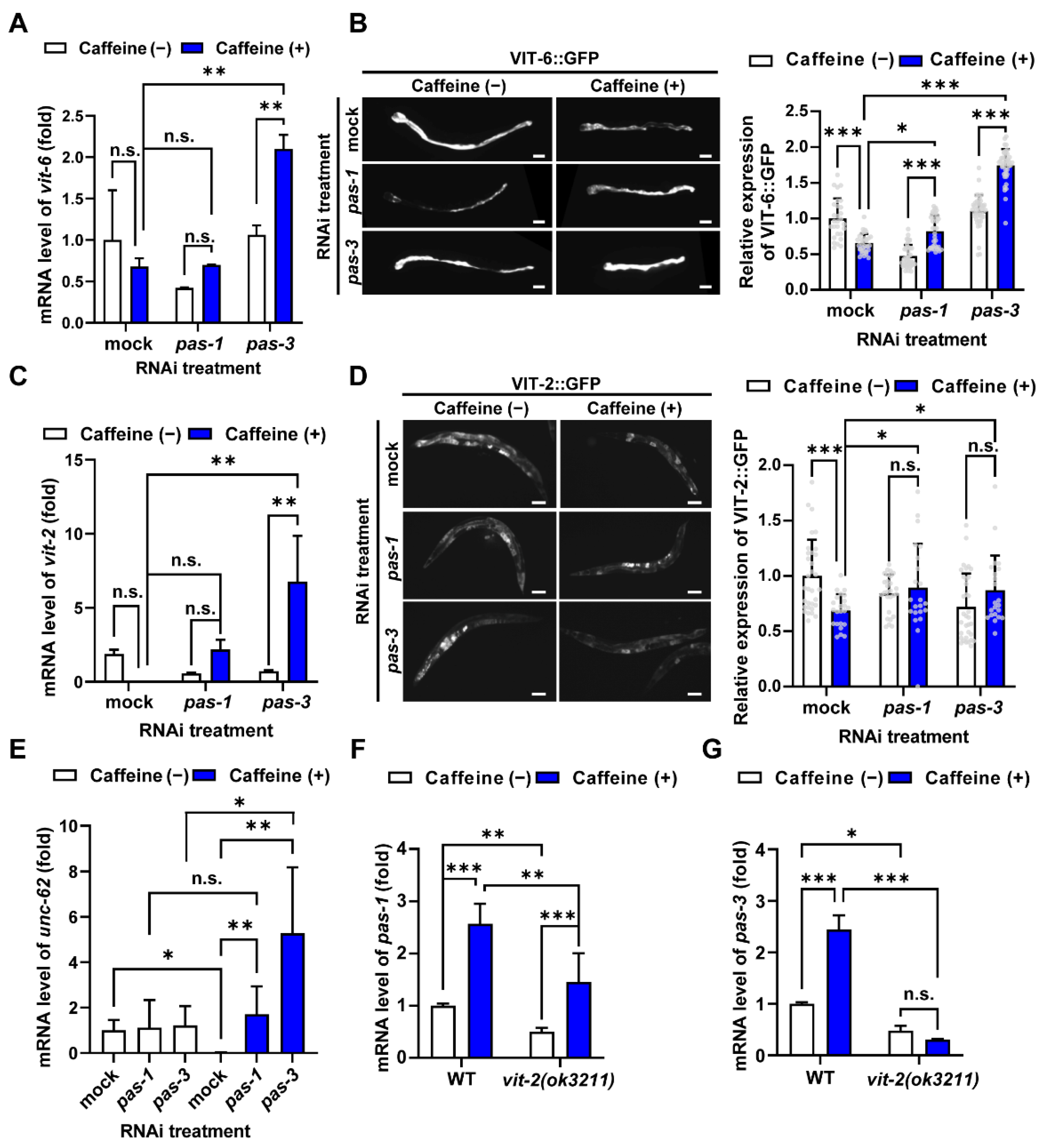 Nutrients 16 04298 g002