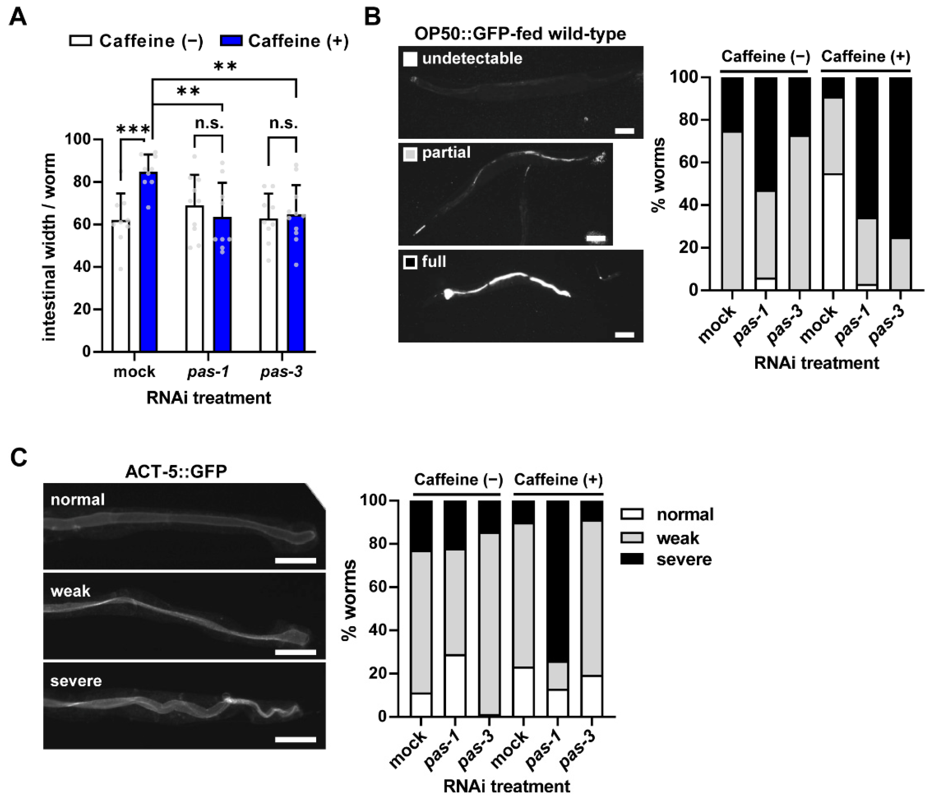 Nutrients 16 04298 g003