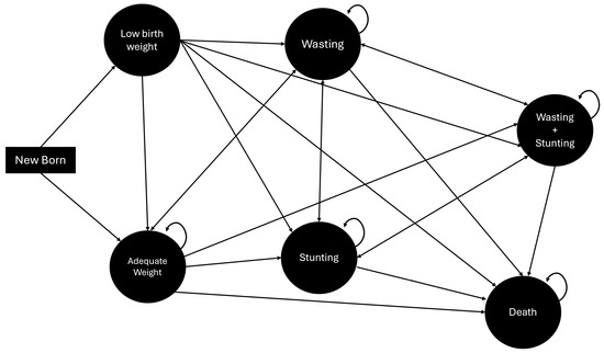Nutrients 16 04302 g001