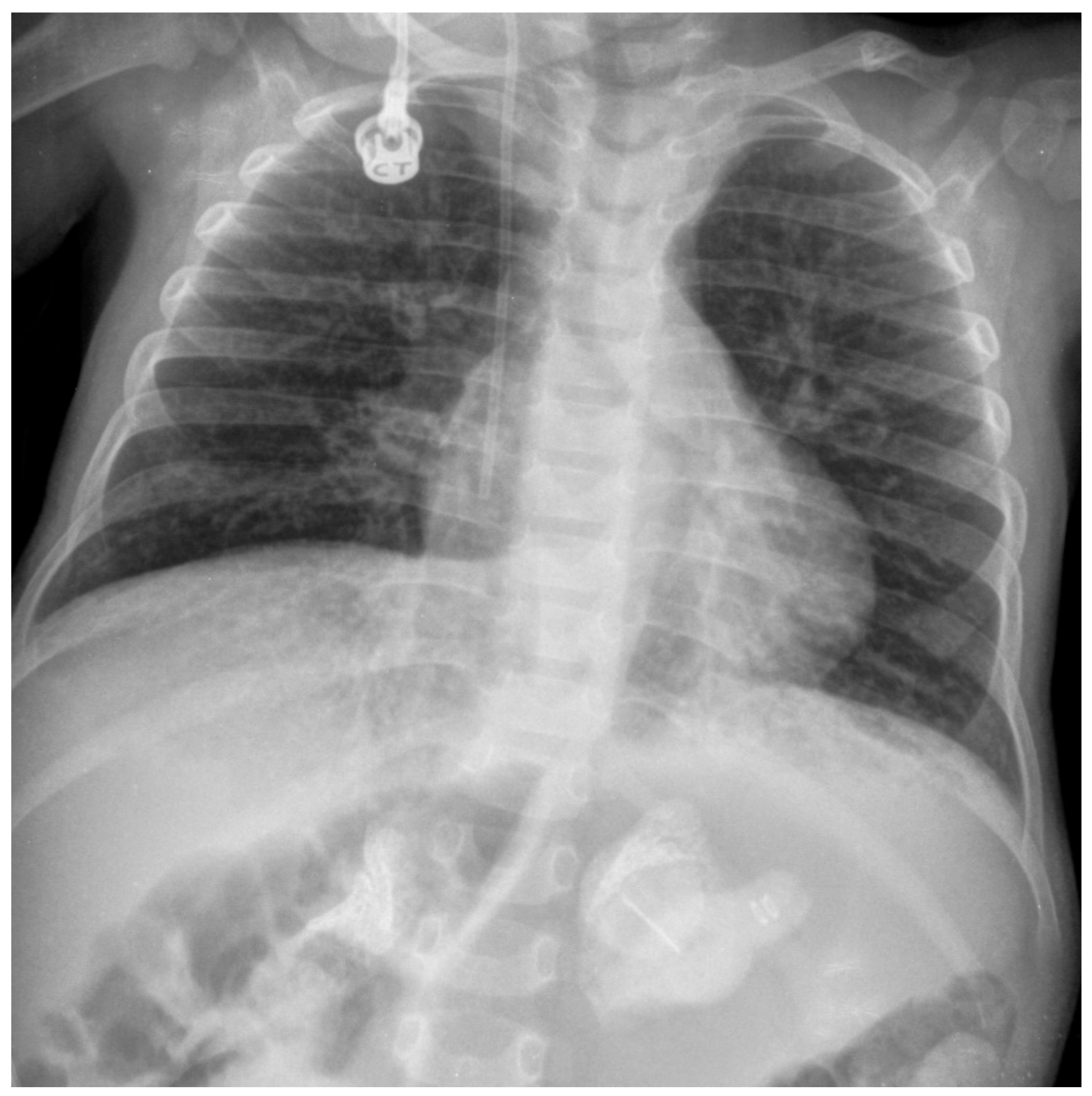 Nutrients 16 04309 g001