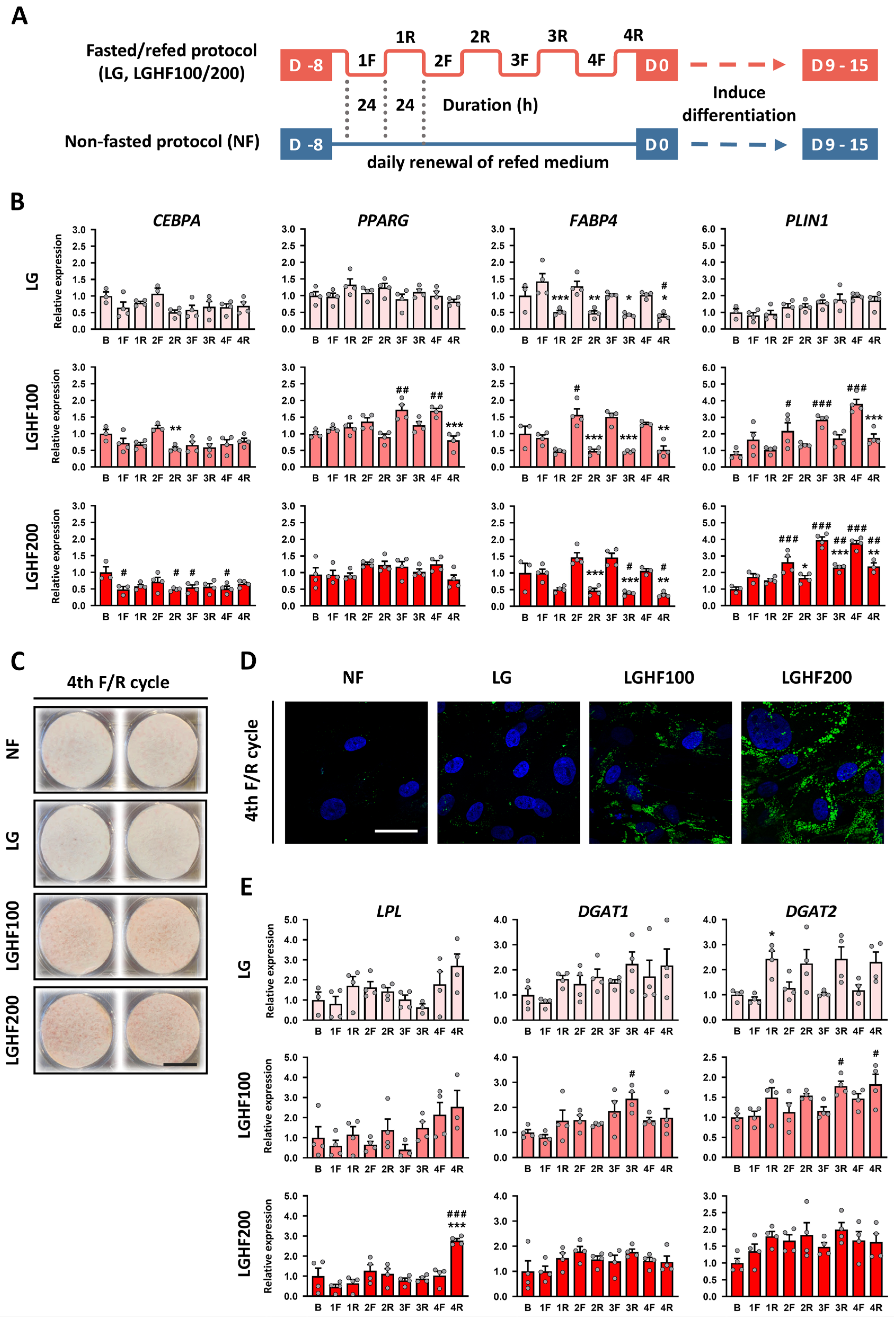 Nutrients 16 04310 g001