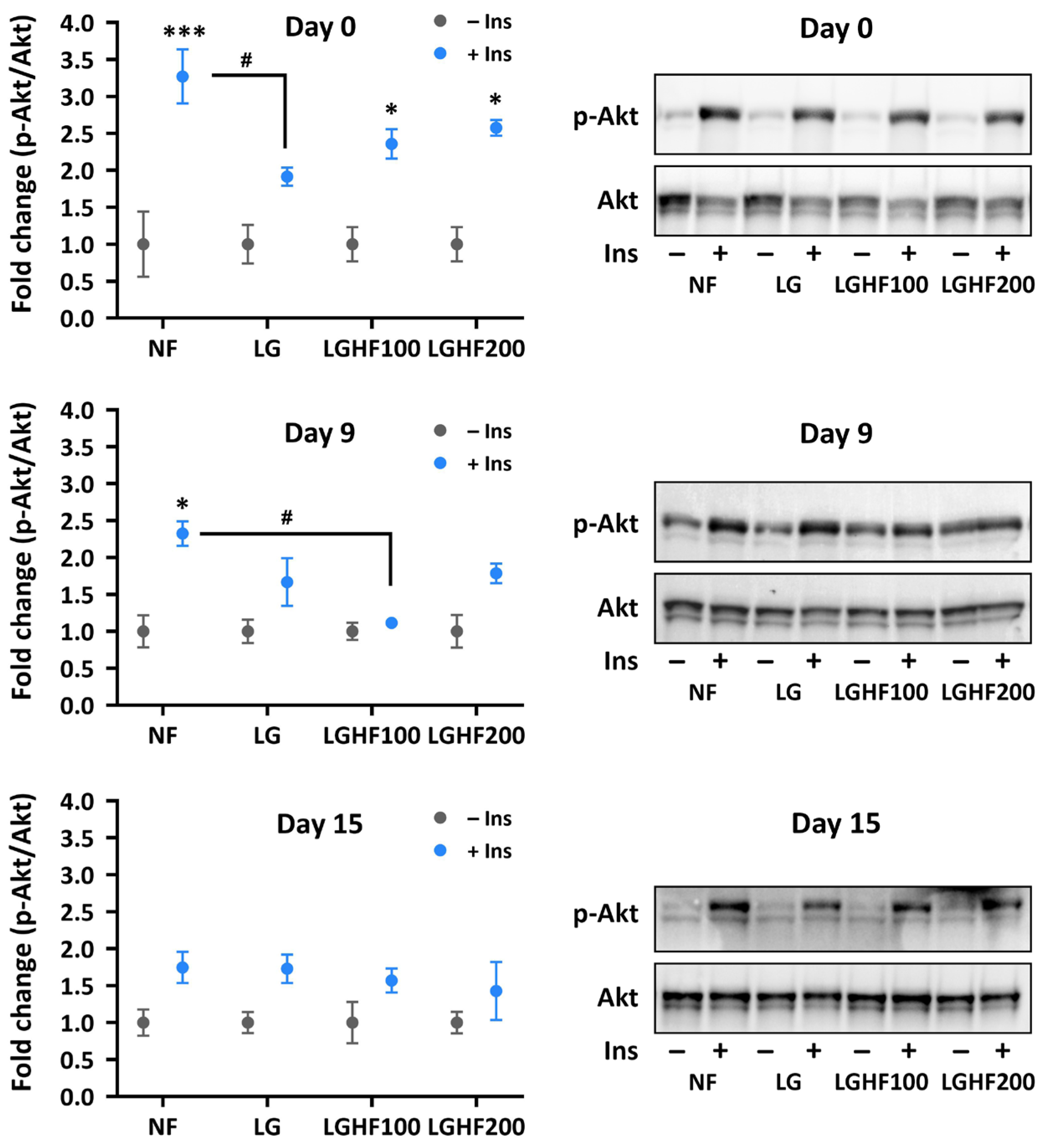 Nutrients 16 04310 g004