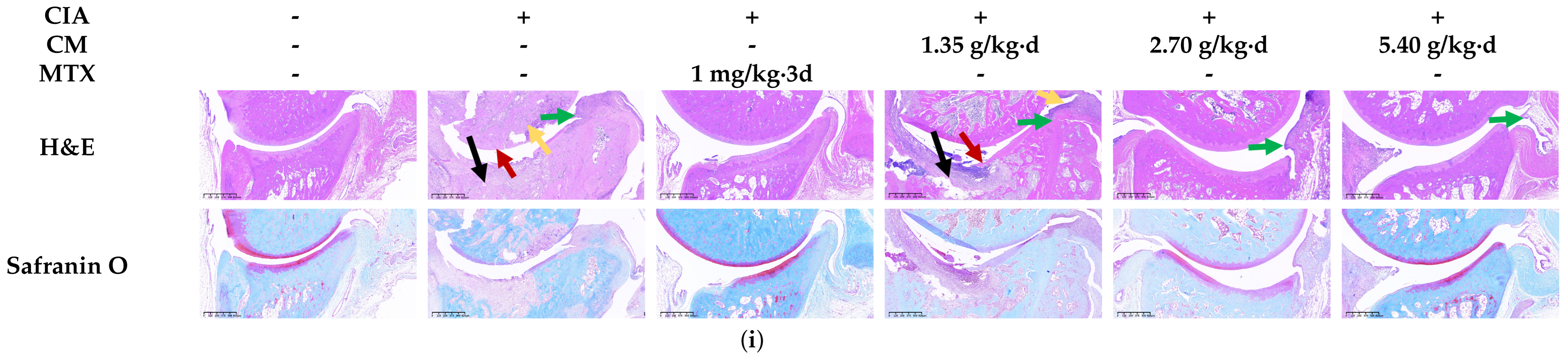 Nutrients 16 04311 g004c
