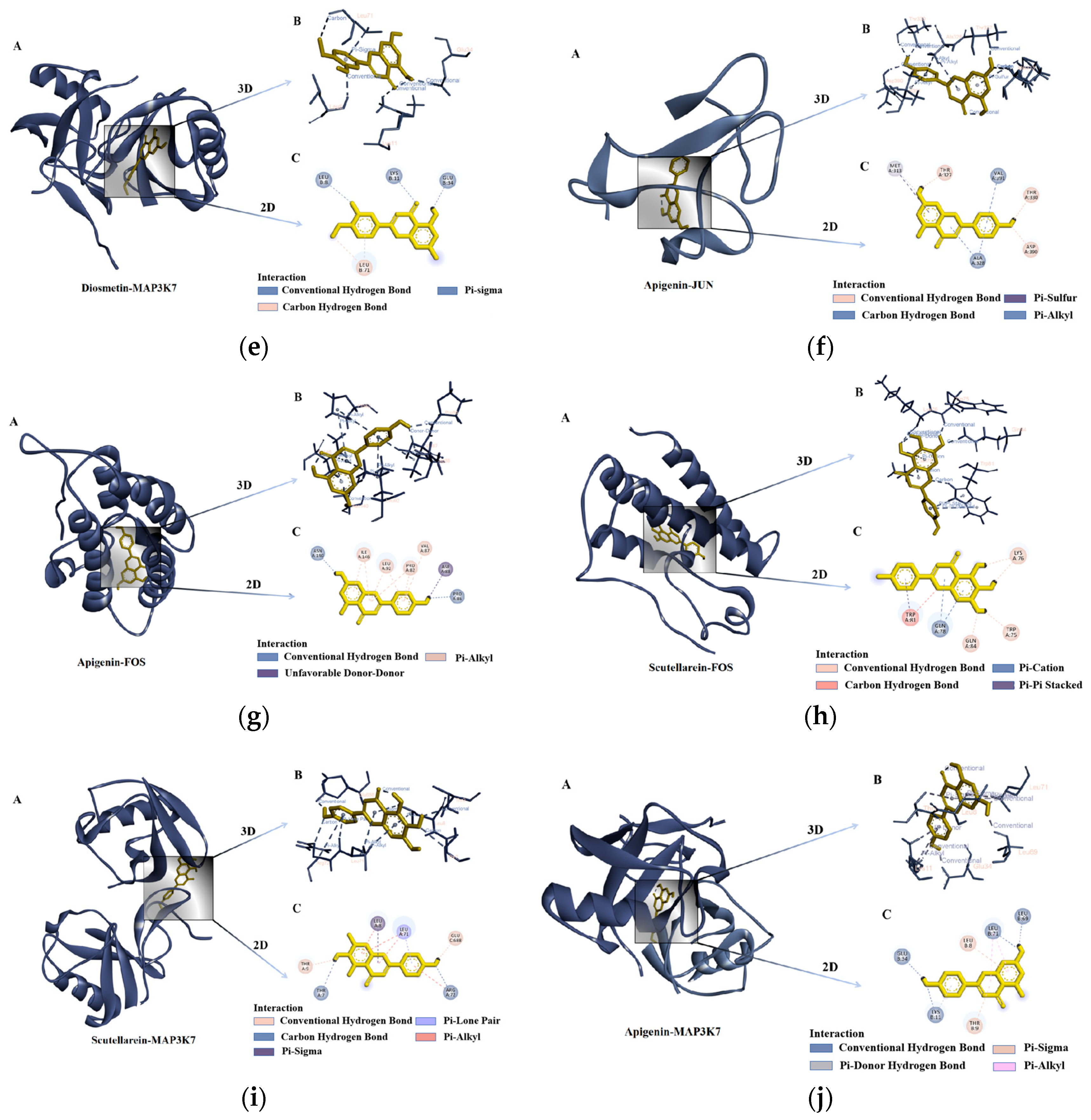 Nutrients 16 04311 g007b