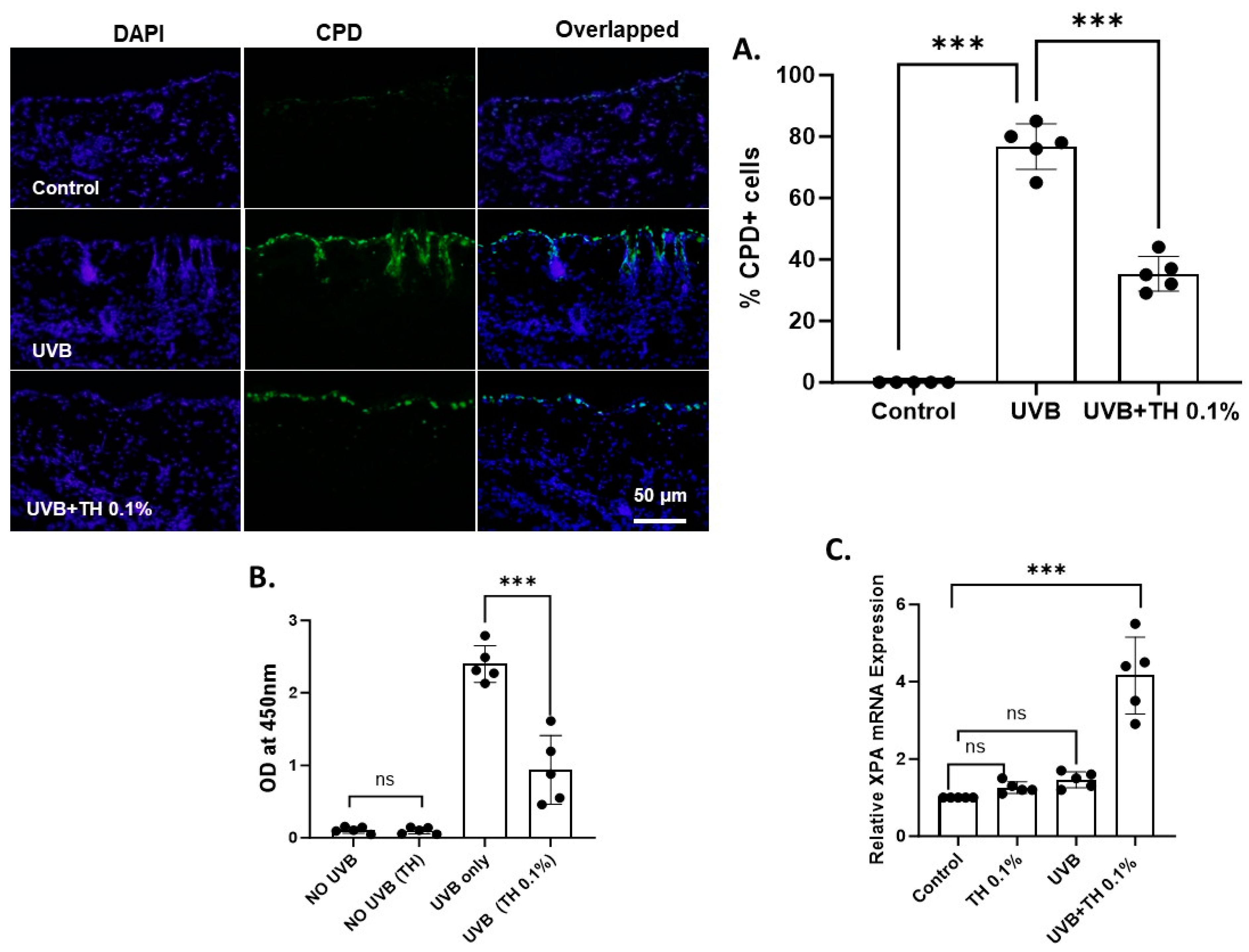Nutrients 16 04314 g001