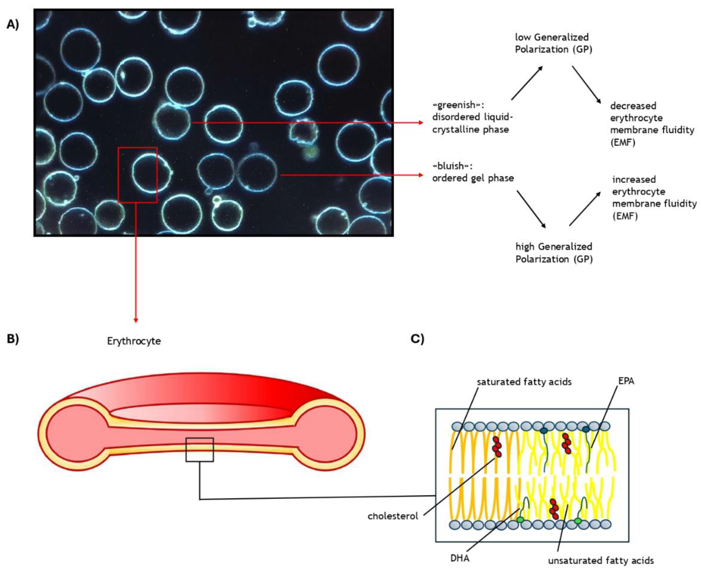 Nutrients 16 04318 g001