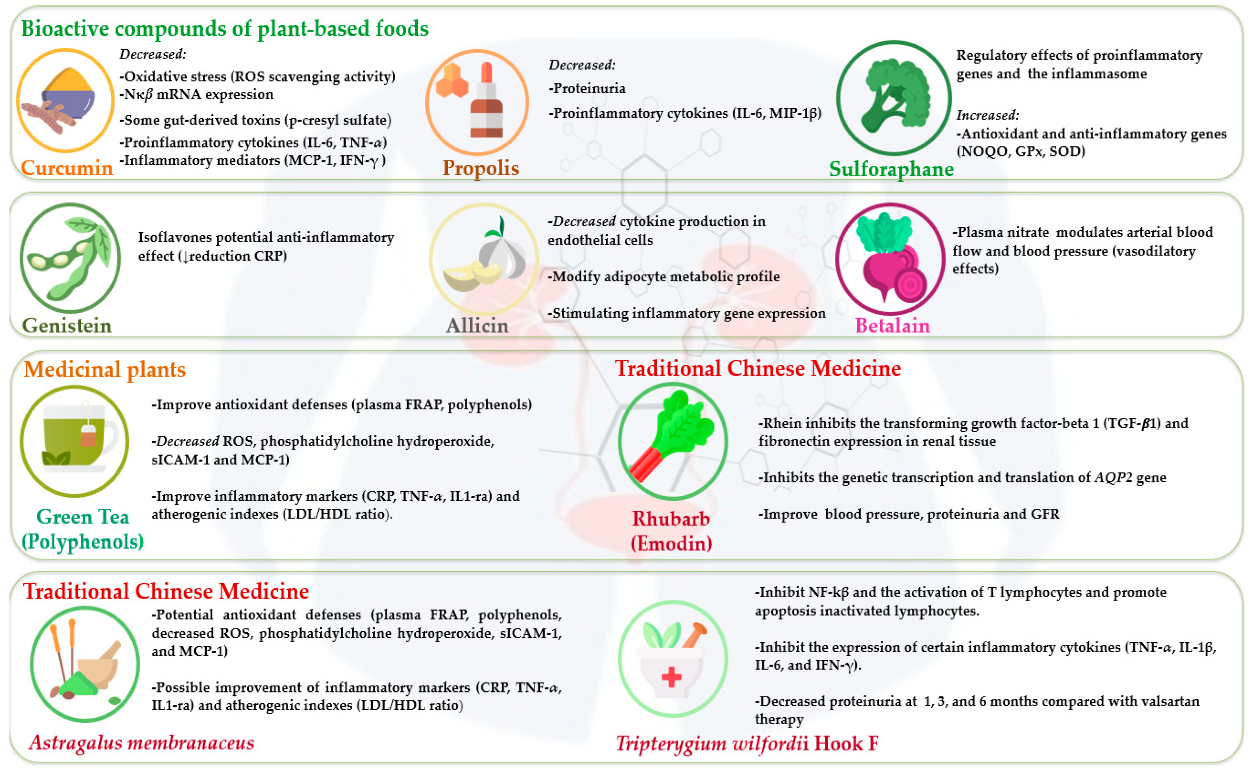 Nutrients 16 04321 g001