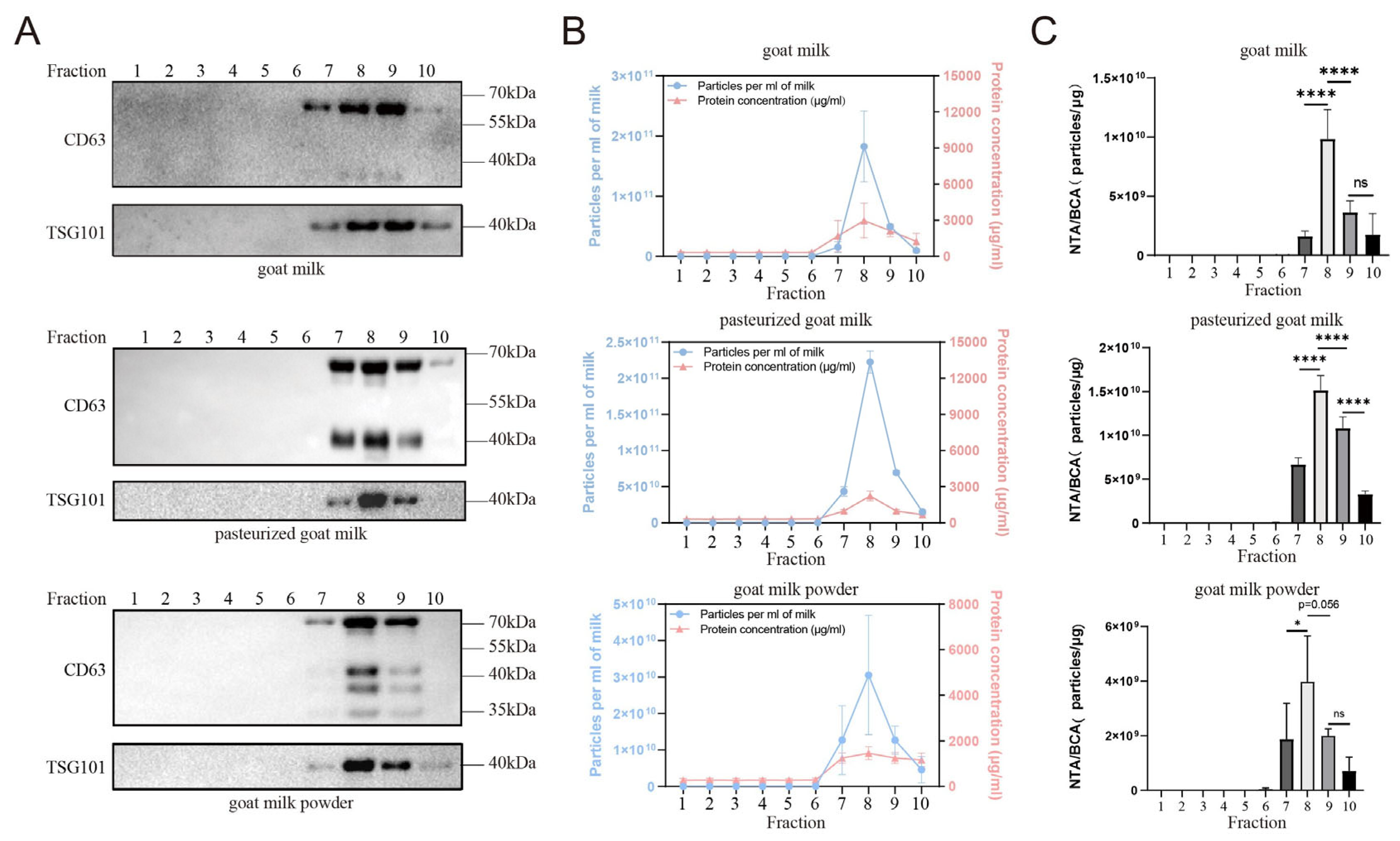 Nutrients 16 04331 g001
