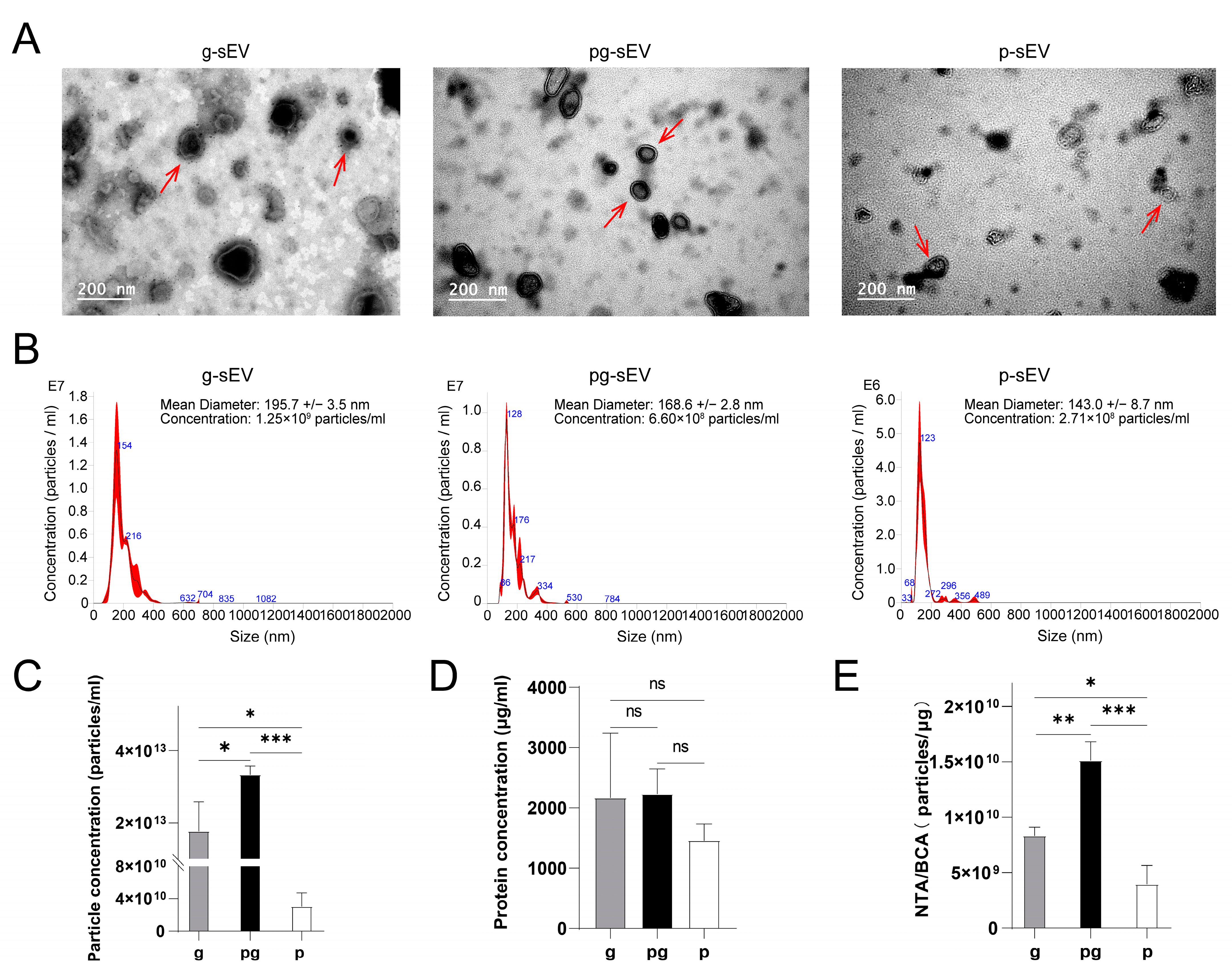 Nutrients 16 04331 g002