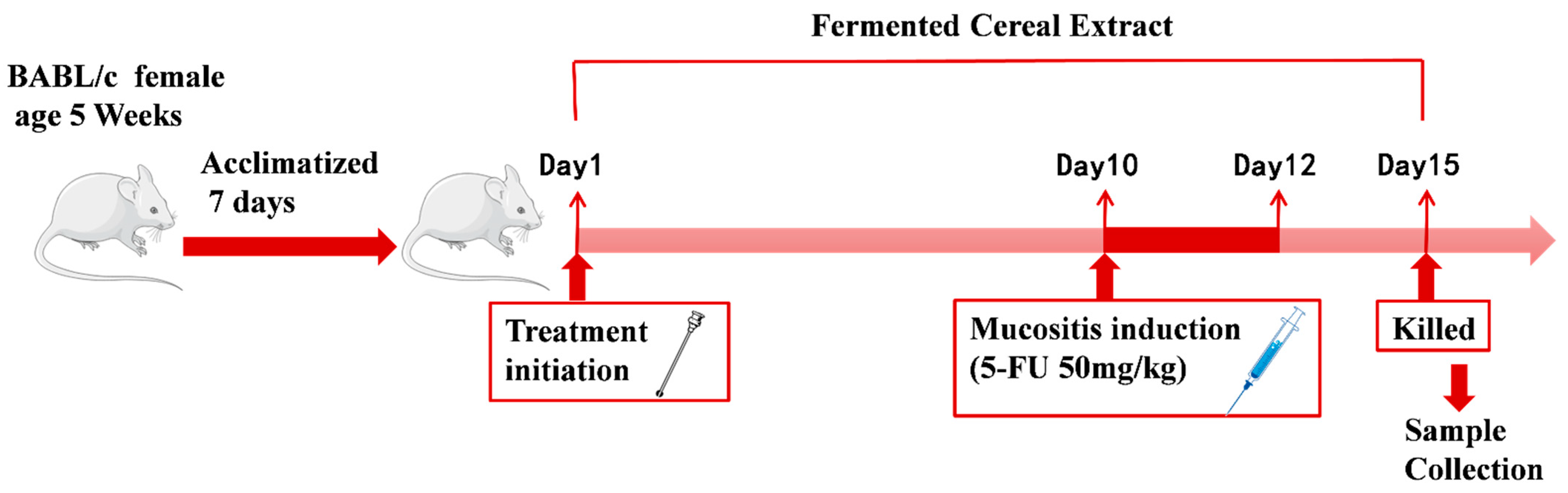 Nutrients 16 04332 g001