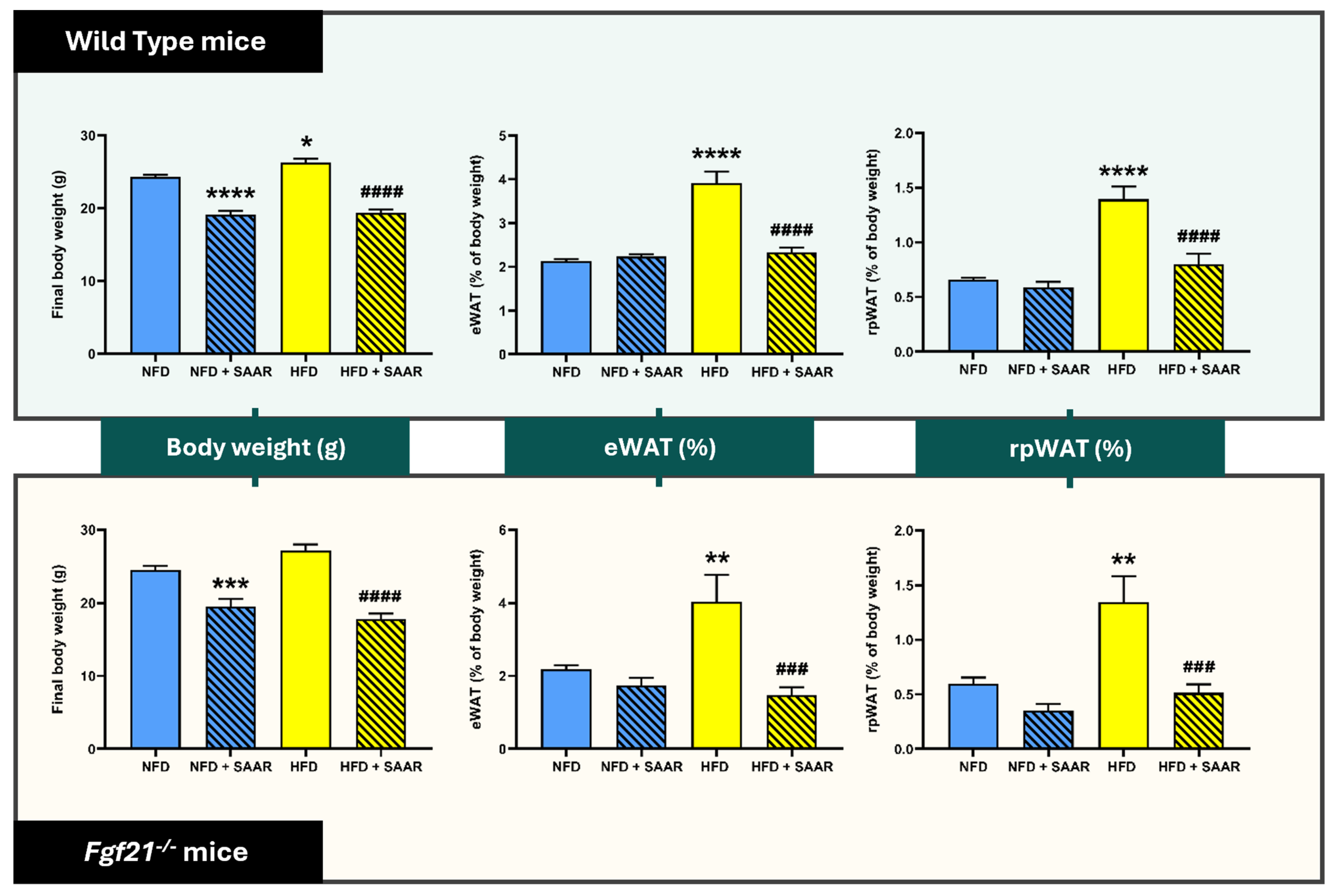 Nutrients 16 04347 g001 Nutrients 16 04347 g001