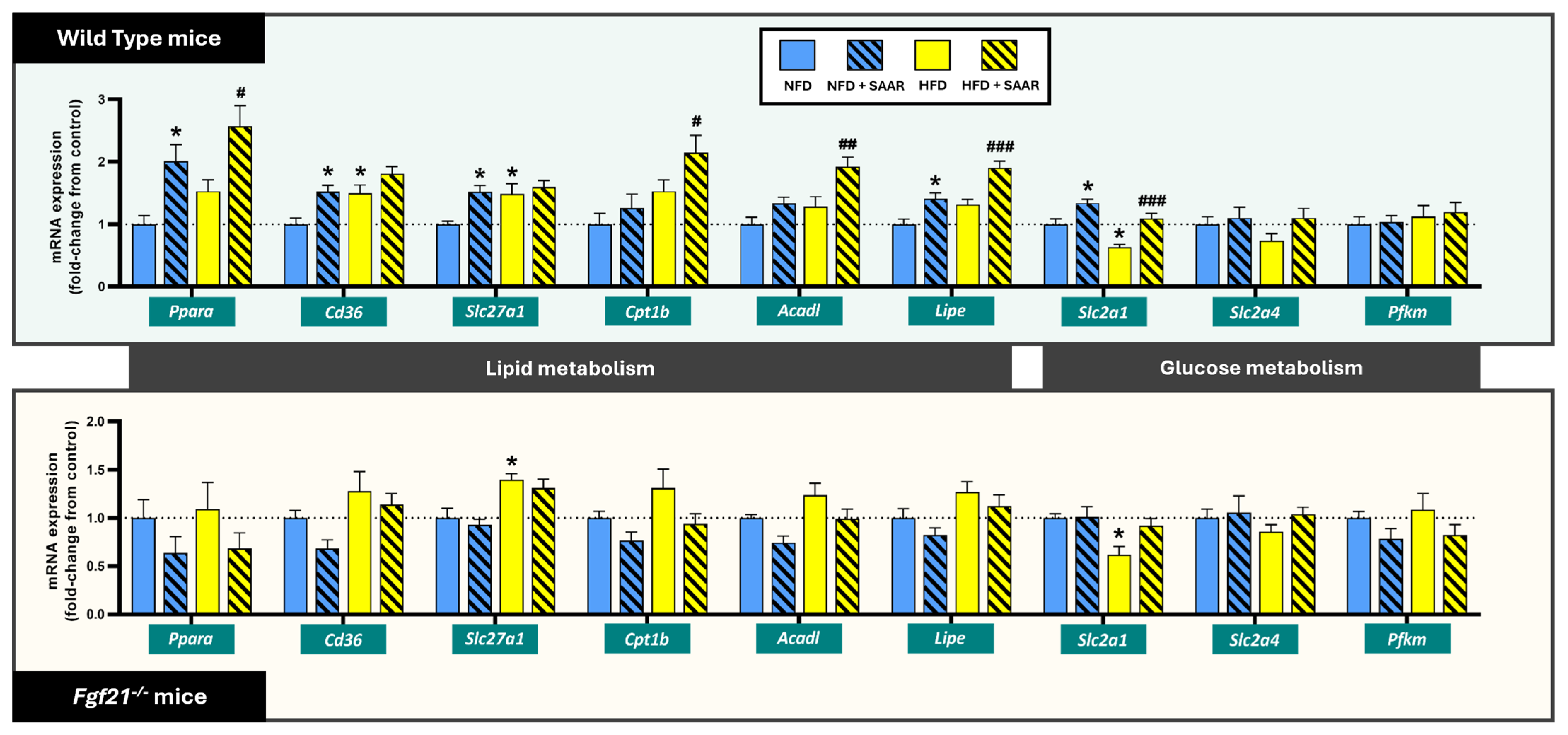 Nutrients 16 04347 g004 Nutrients 16 04347 g004