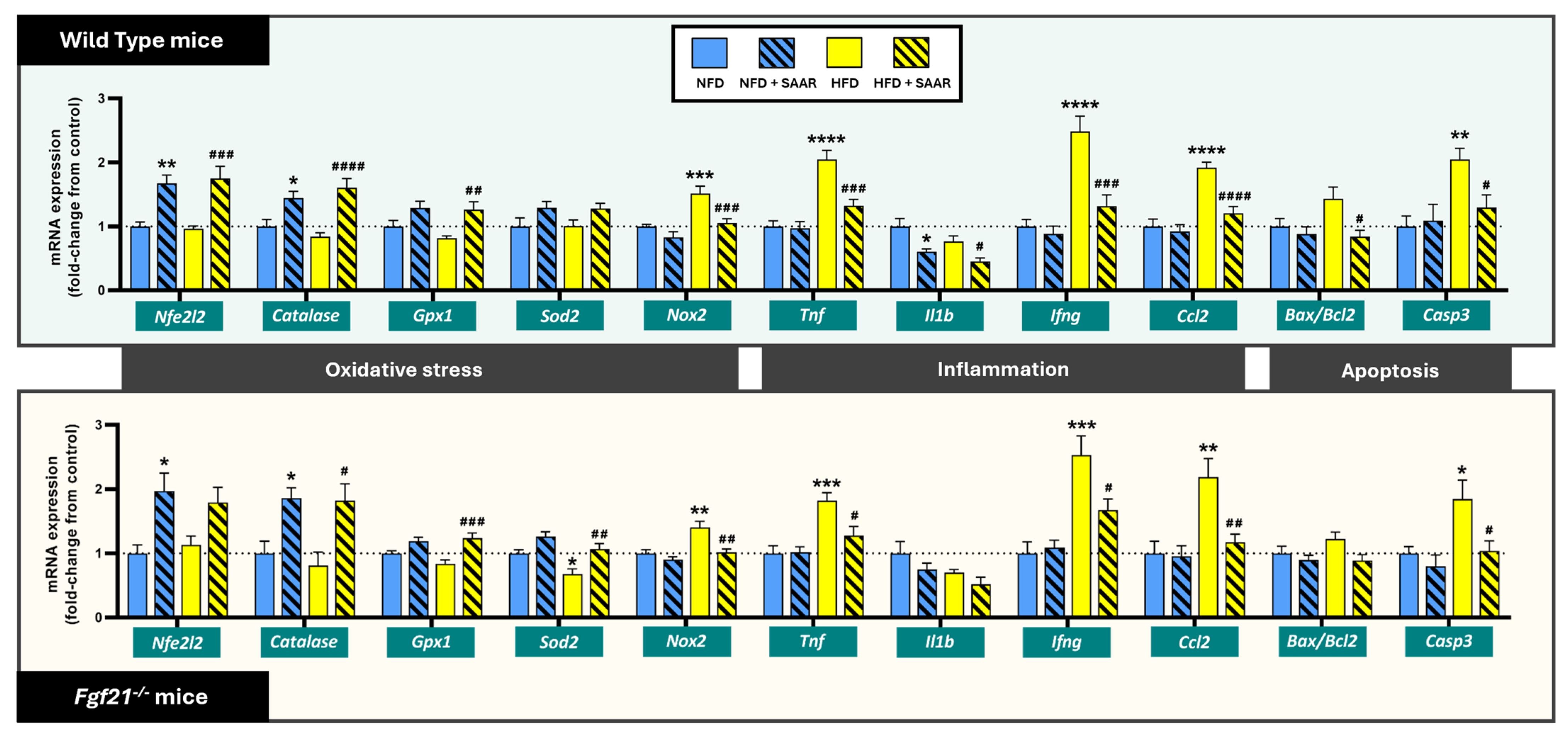 Nutrients 16 04347 g006 Nutrients 16 04347 g006