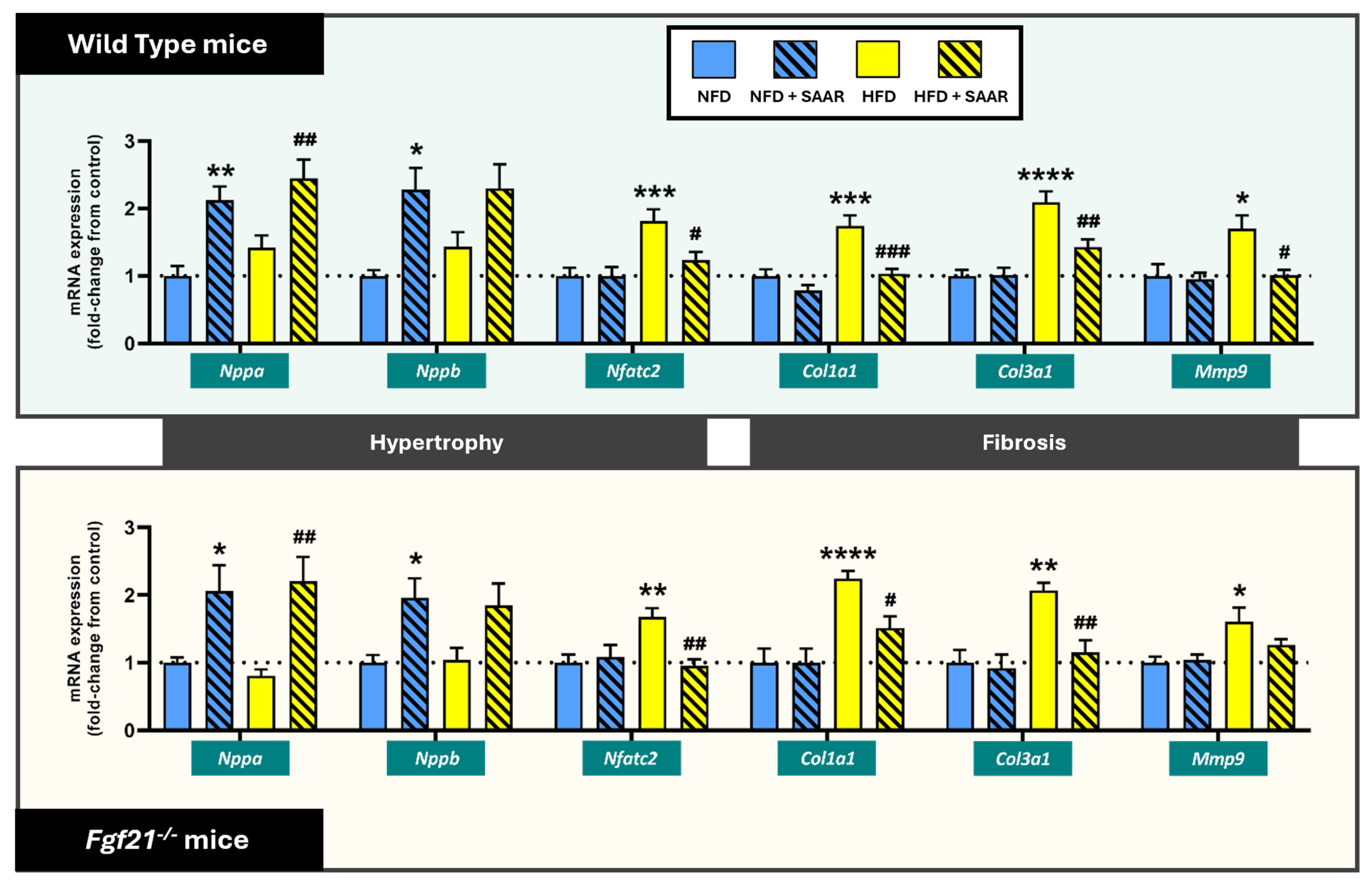 Nutrients 16 04347 g007 Nutrients 16 04347 g007