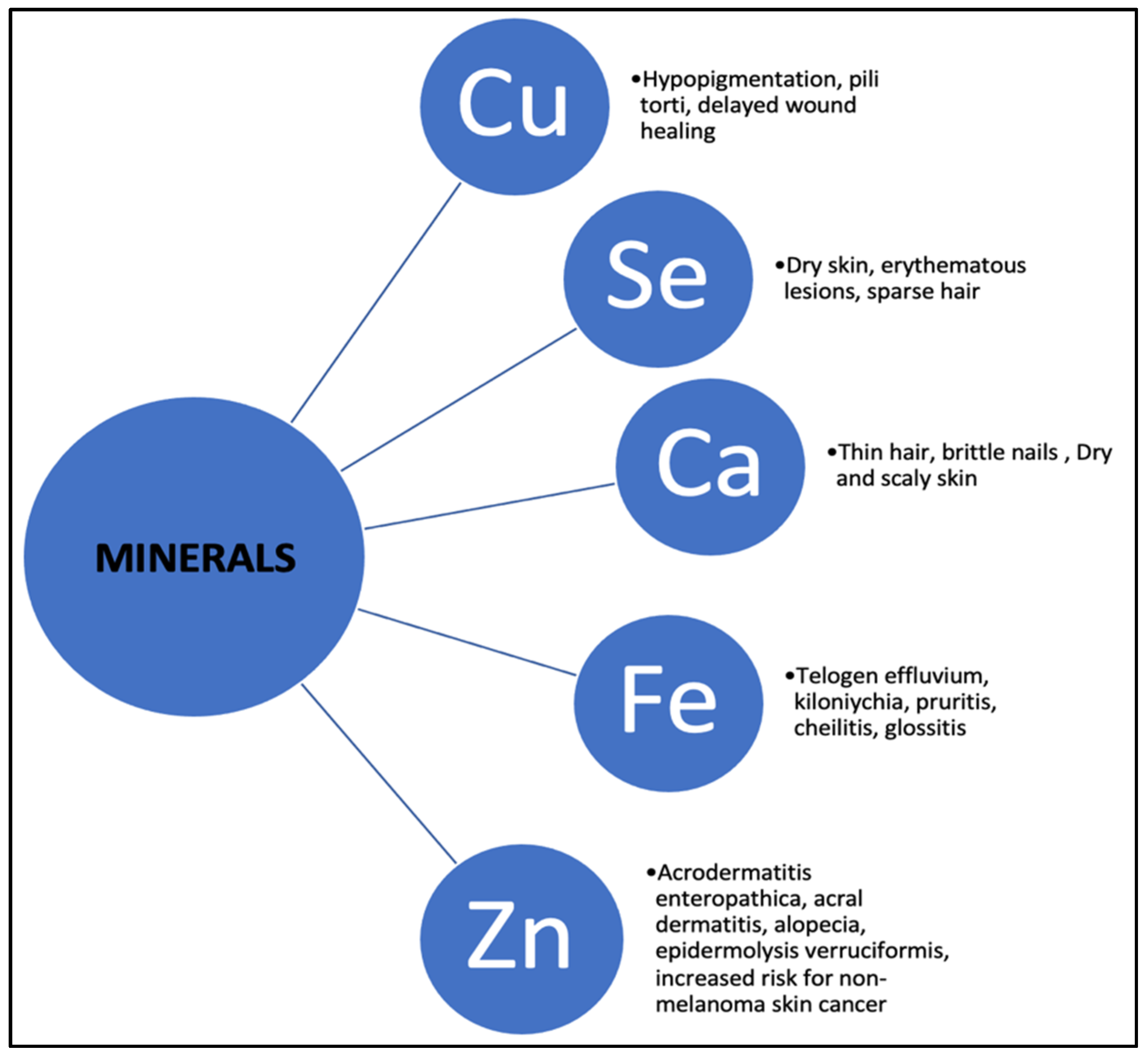 Nutrients 16 04354 g002