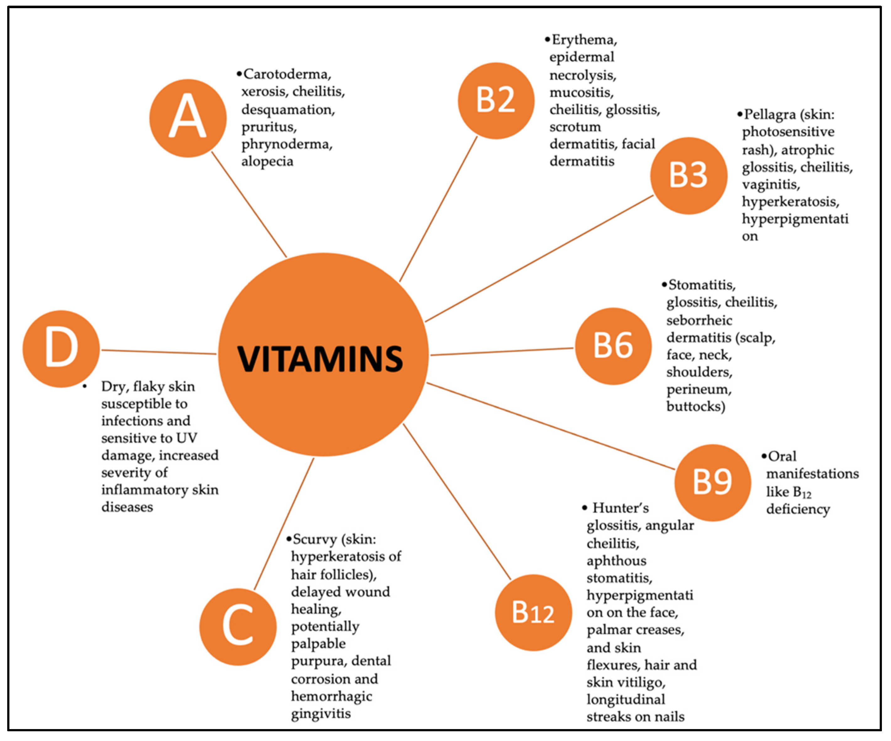 Nutrients 16 04354 g003