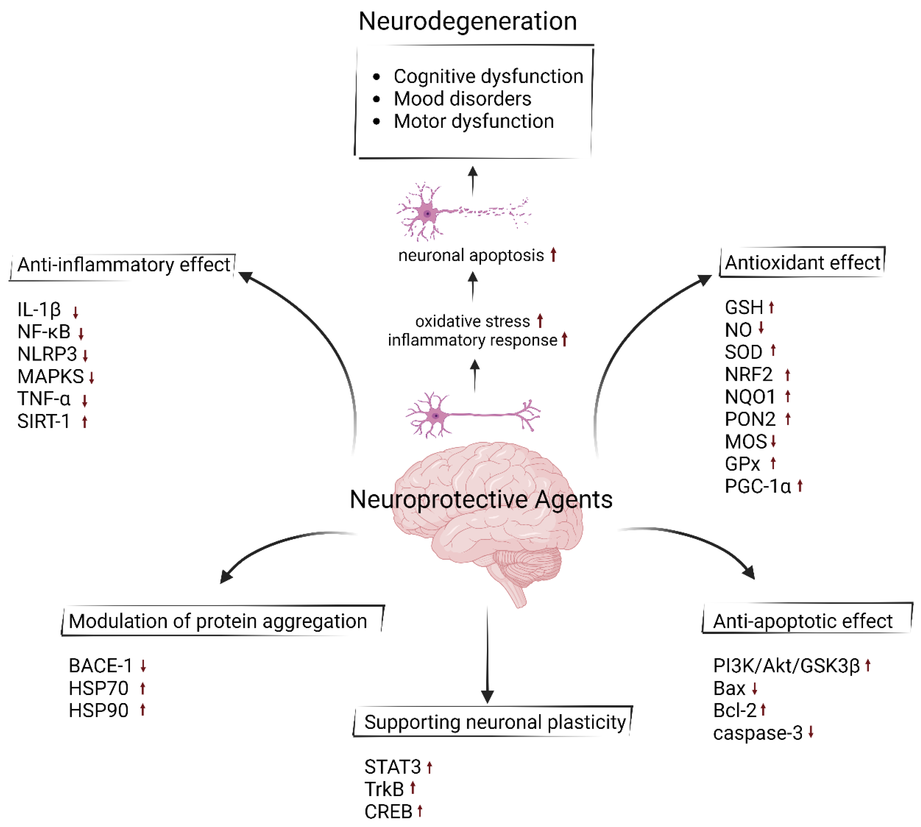 Nutrients 16 04368 g001