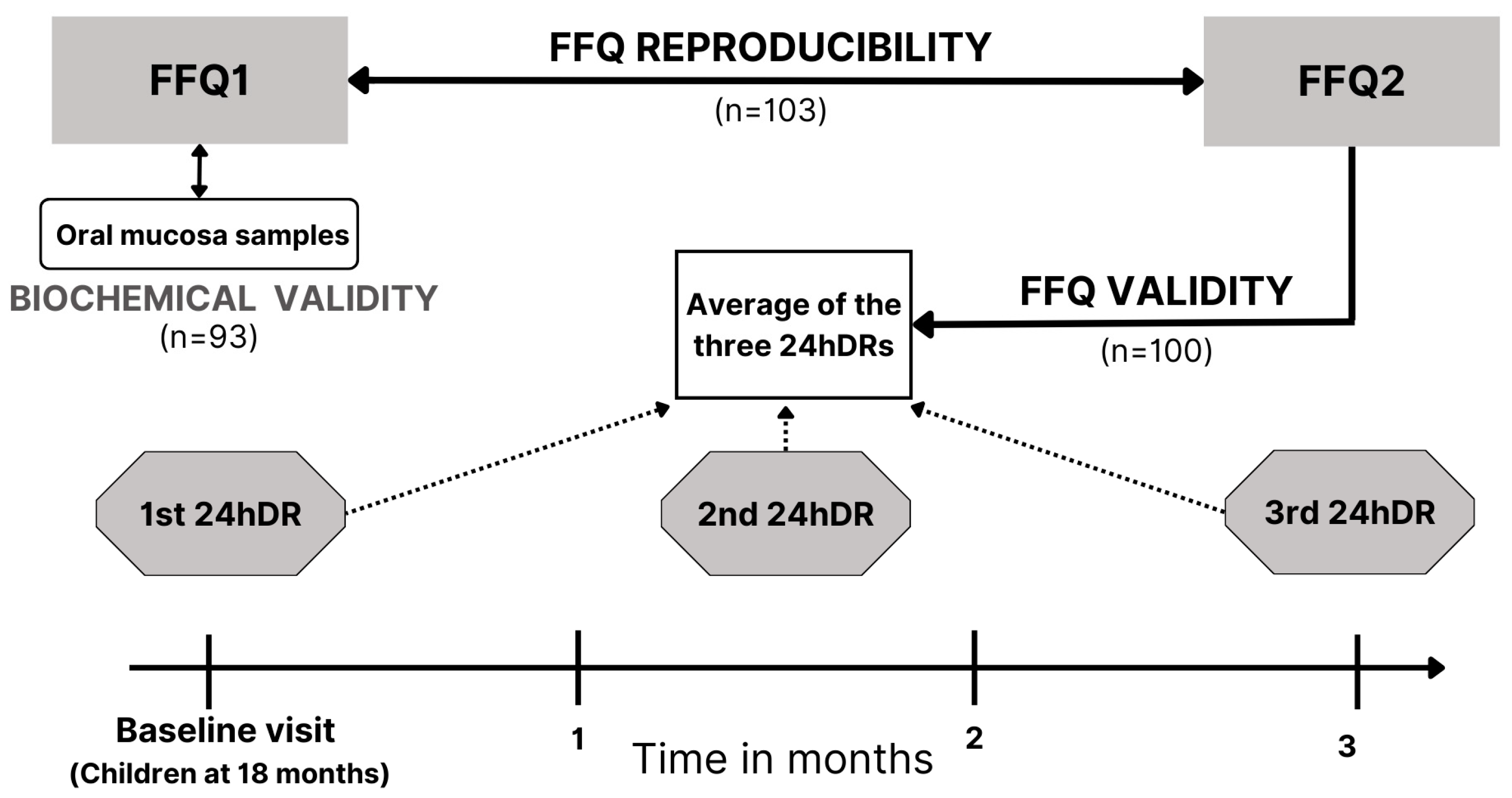 Nutrients 16 04403 g001