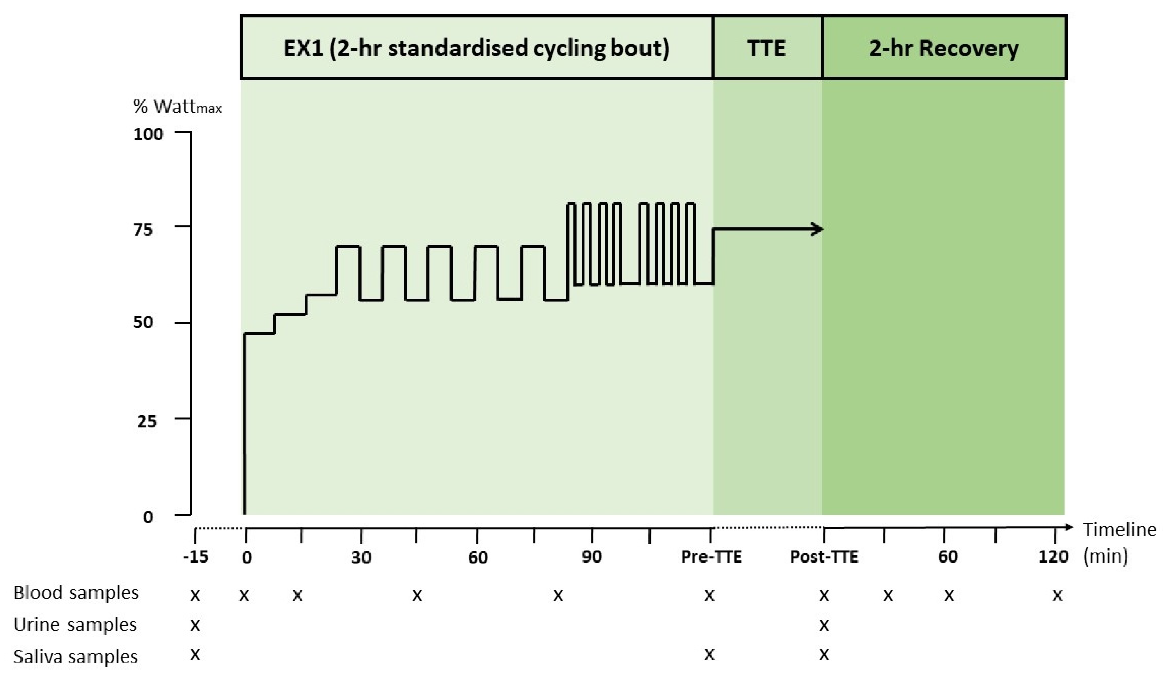 Nutrients 16 04412 g001