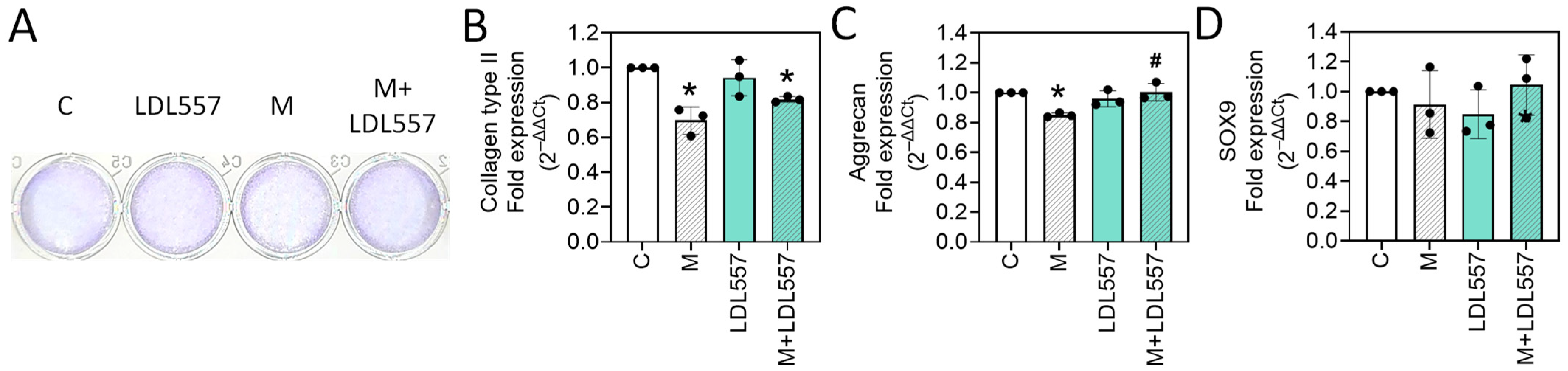 Nutrients 16 04417 g002