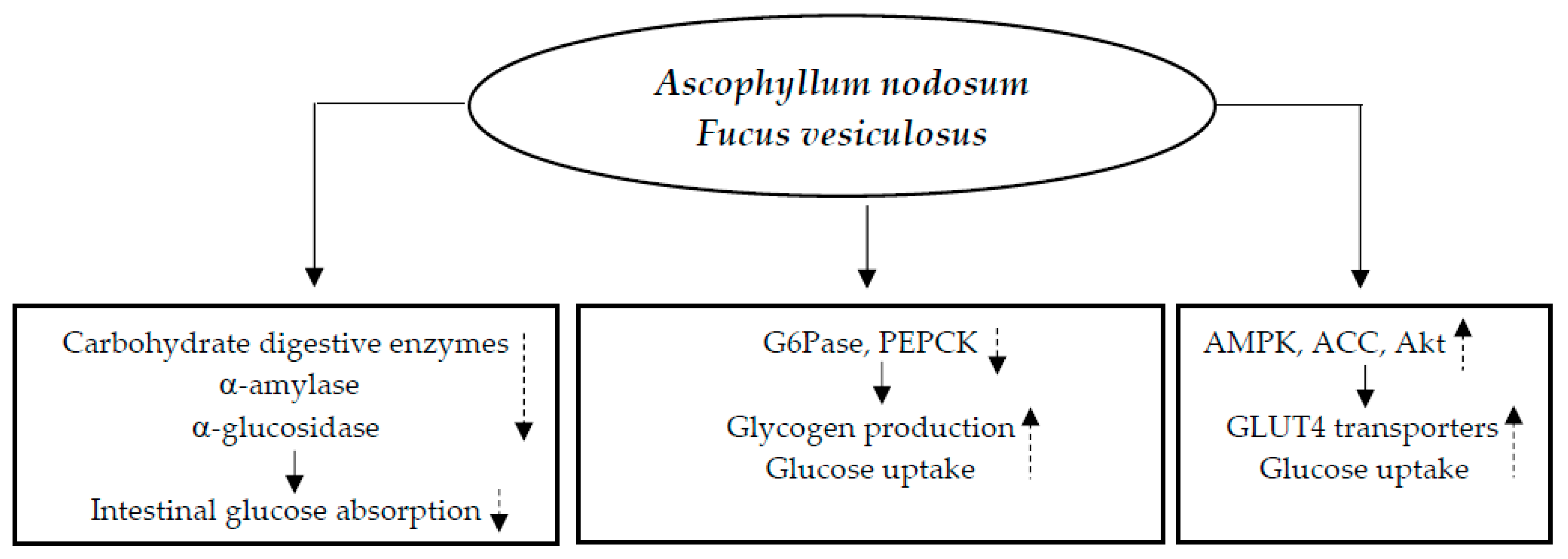 Nutrients 17 00014 g001