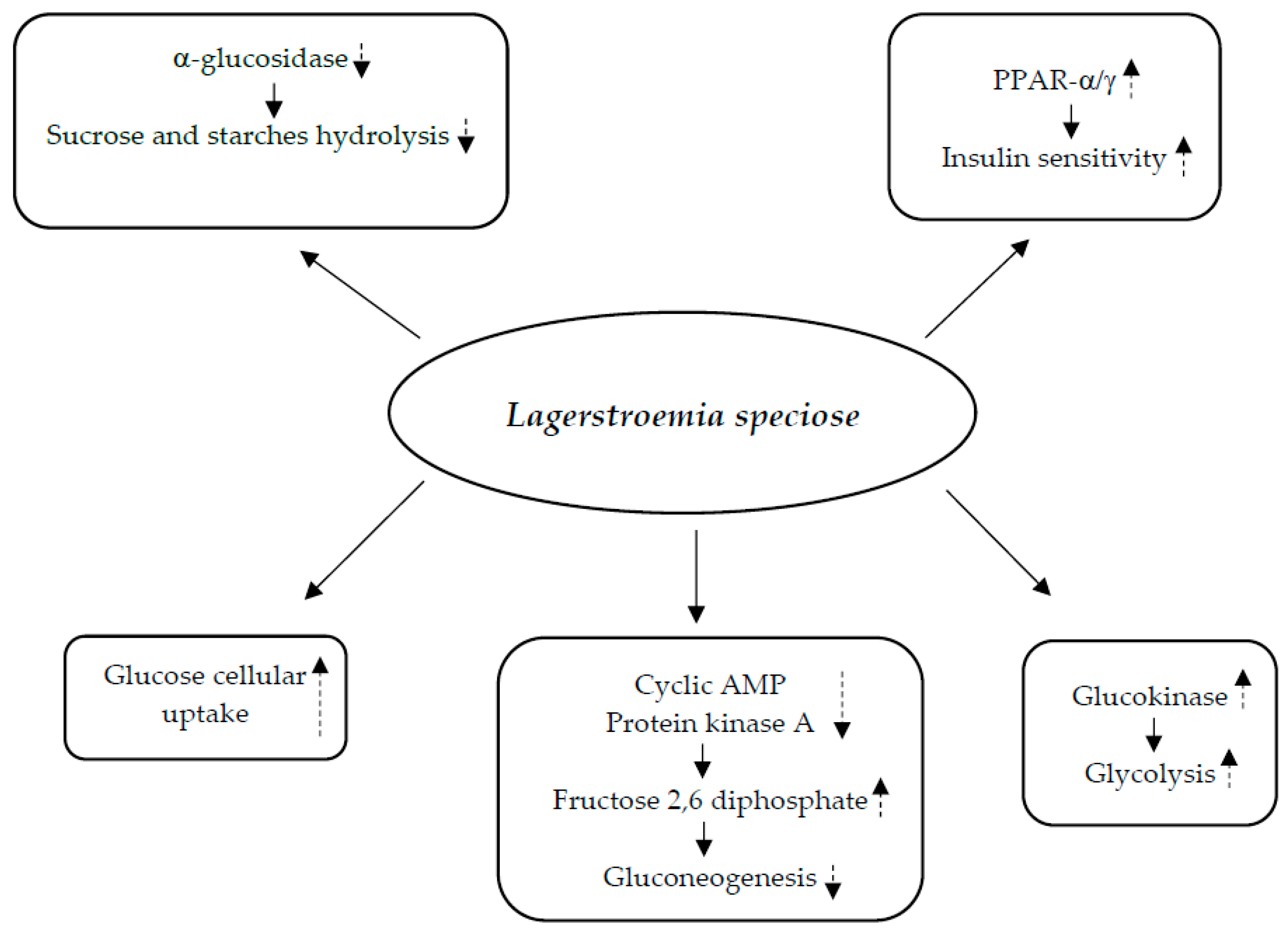 Nutrients 17 00014 g002