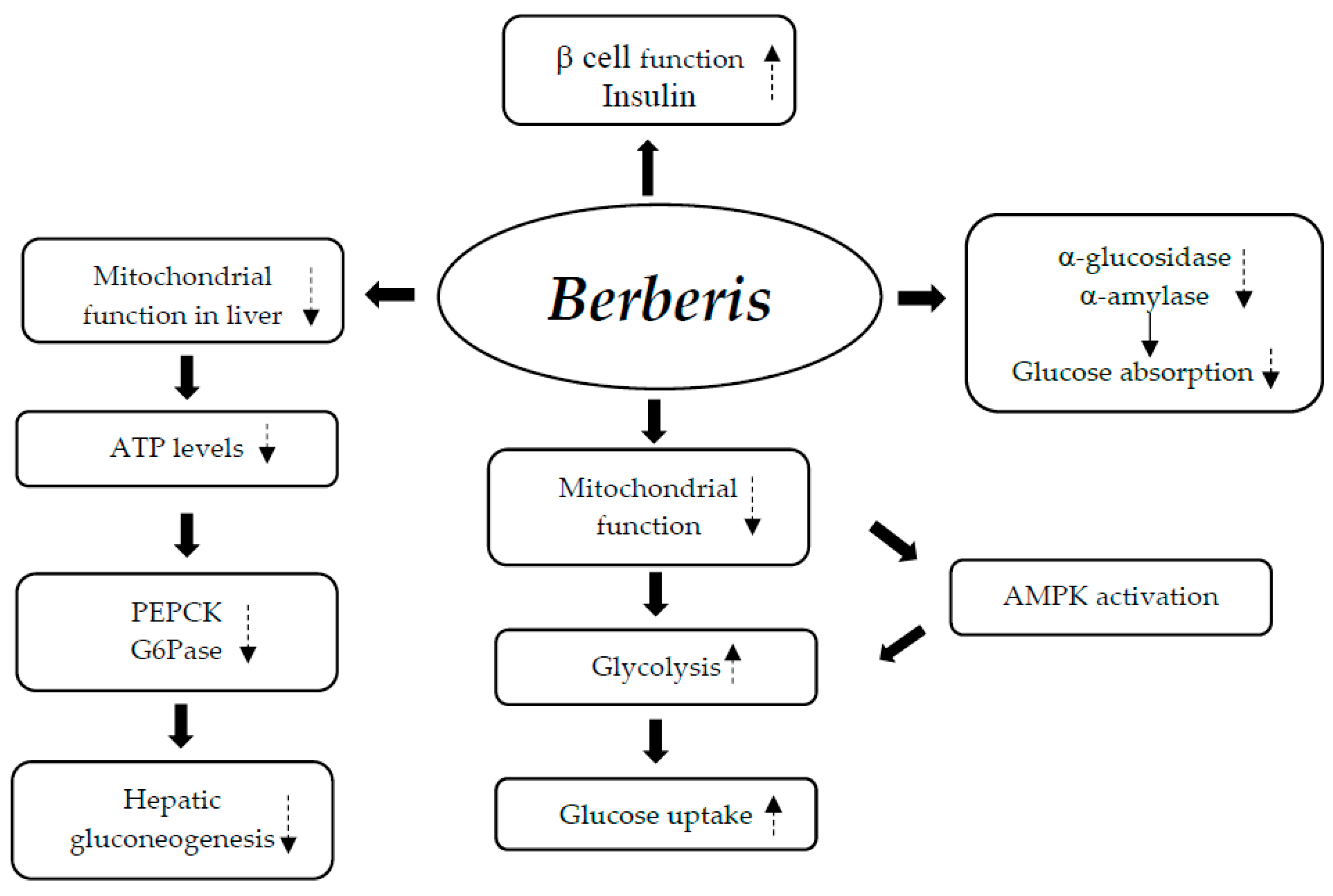 Nutrients 17 00014 g003