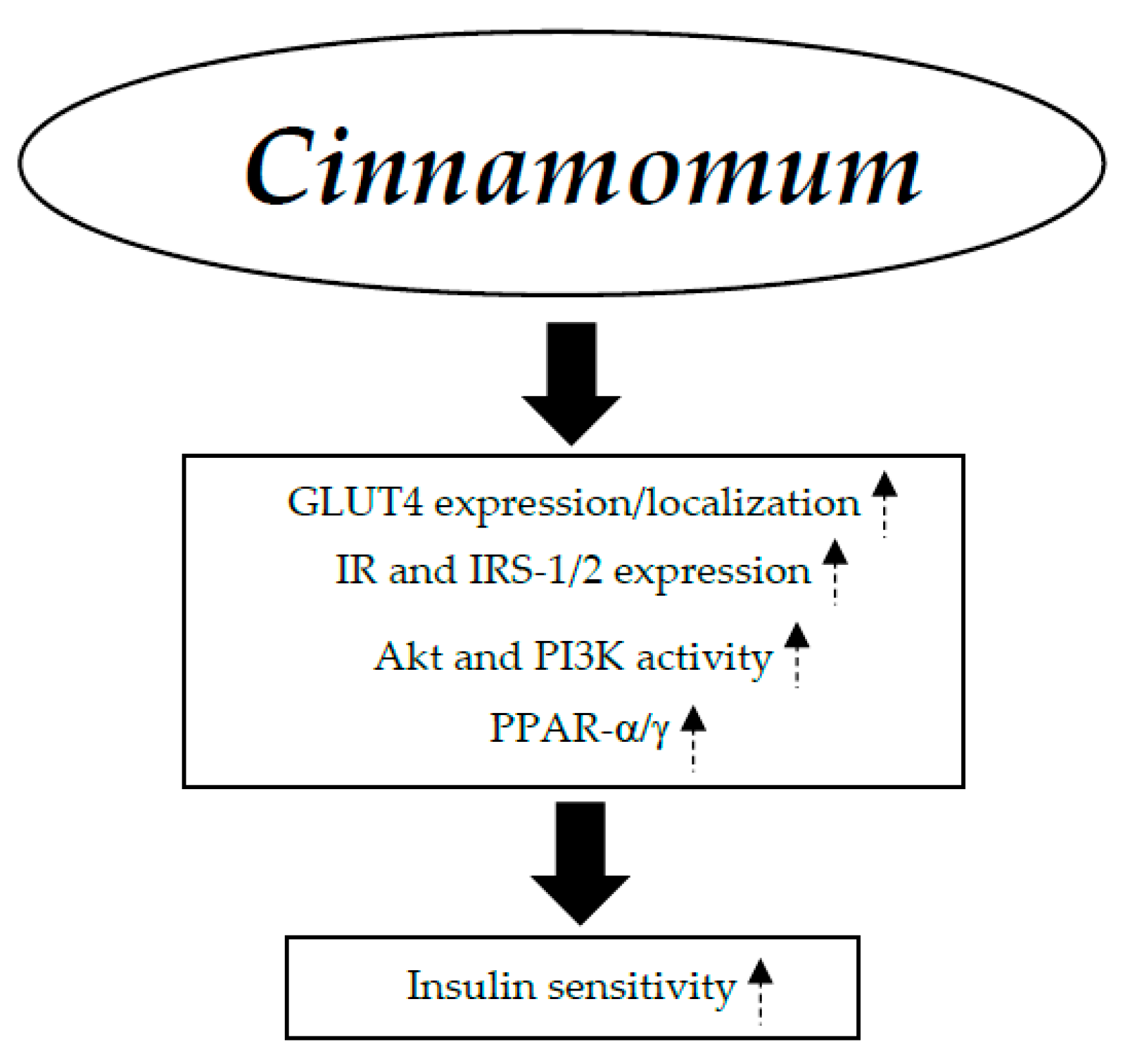 Nutrients 17 00014 g004