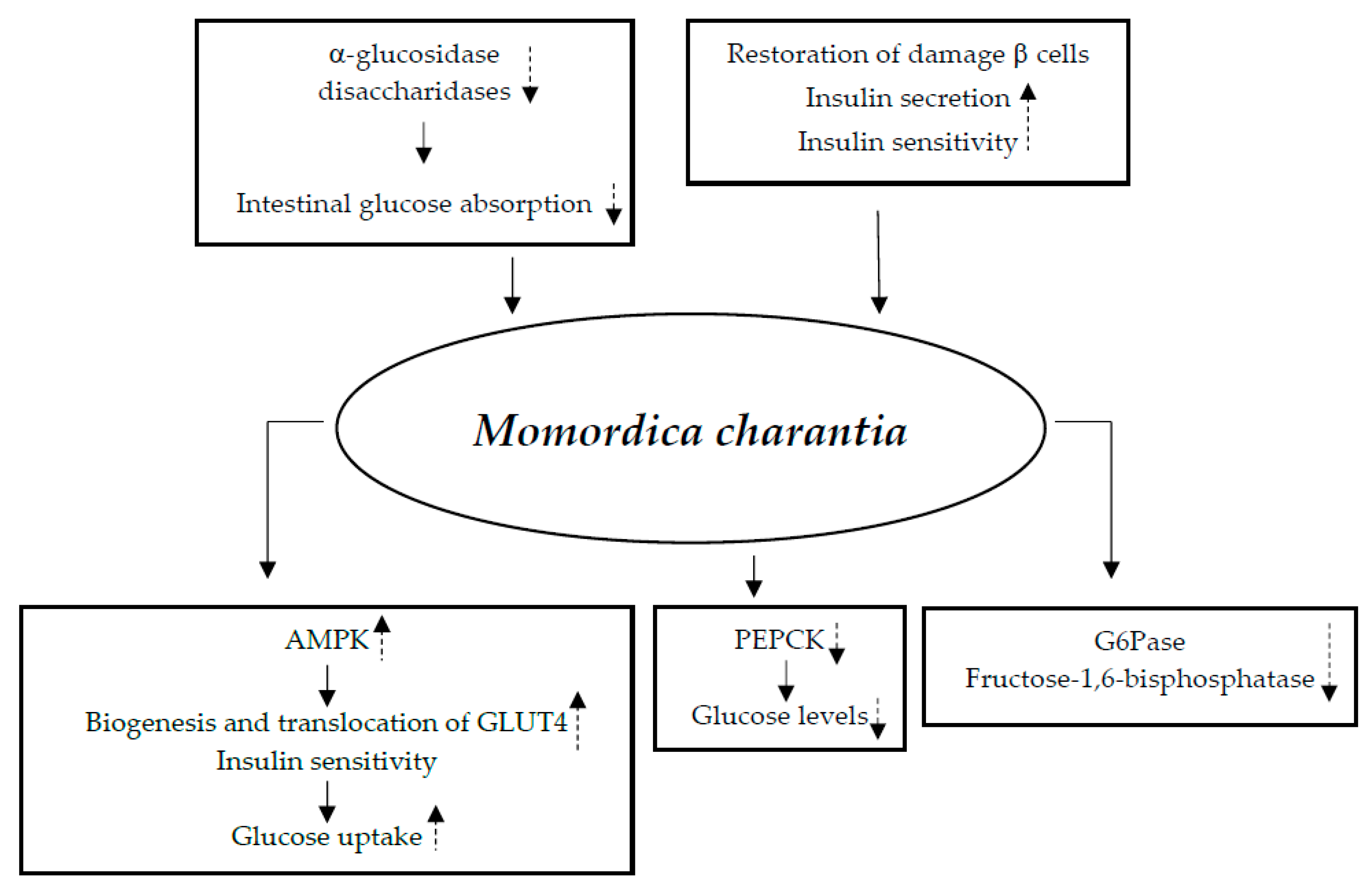 Nutrients 17 00014 g007