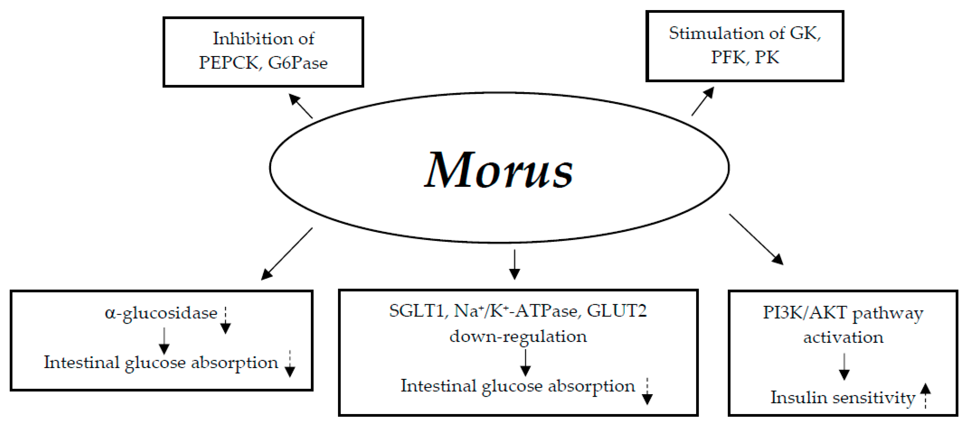 Nutrients 17 00014 g008