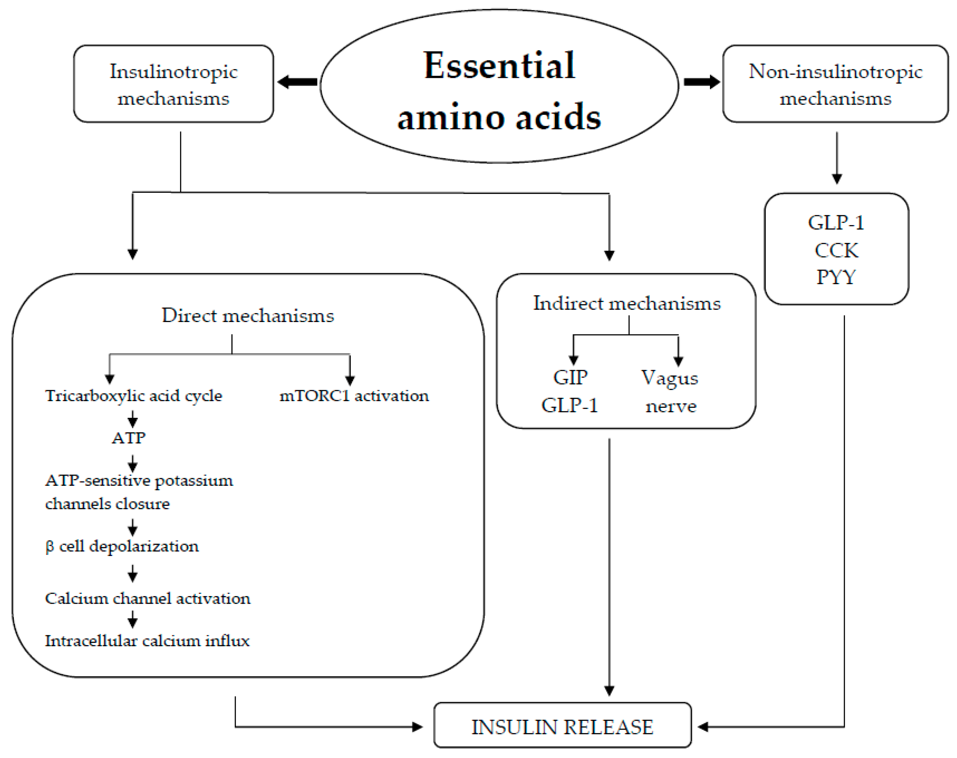 Nutrients 17 00014 g012