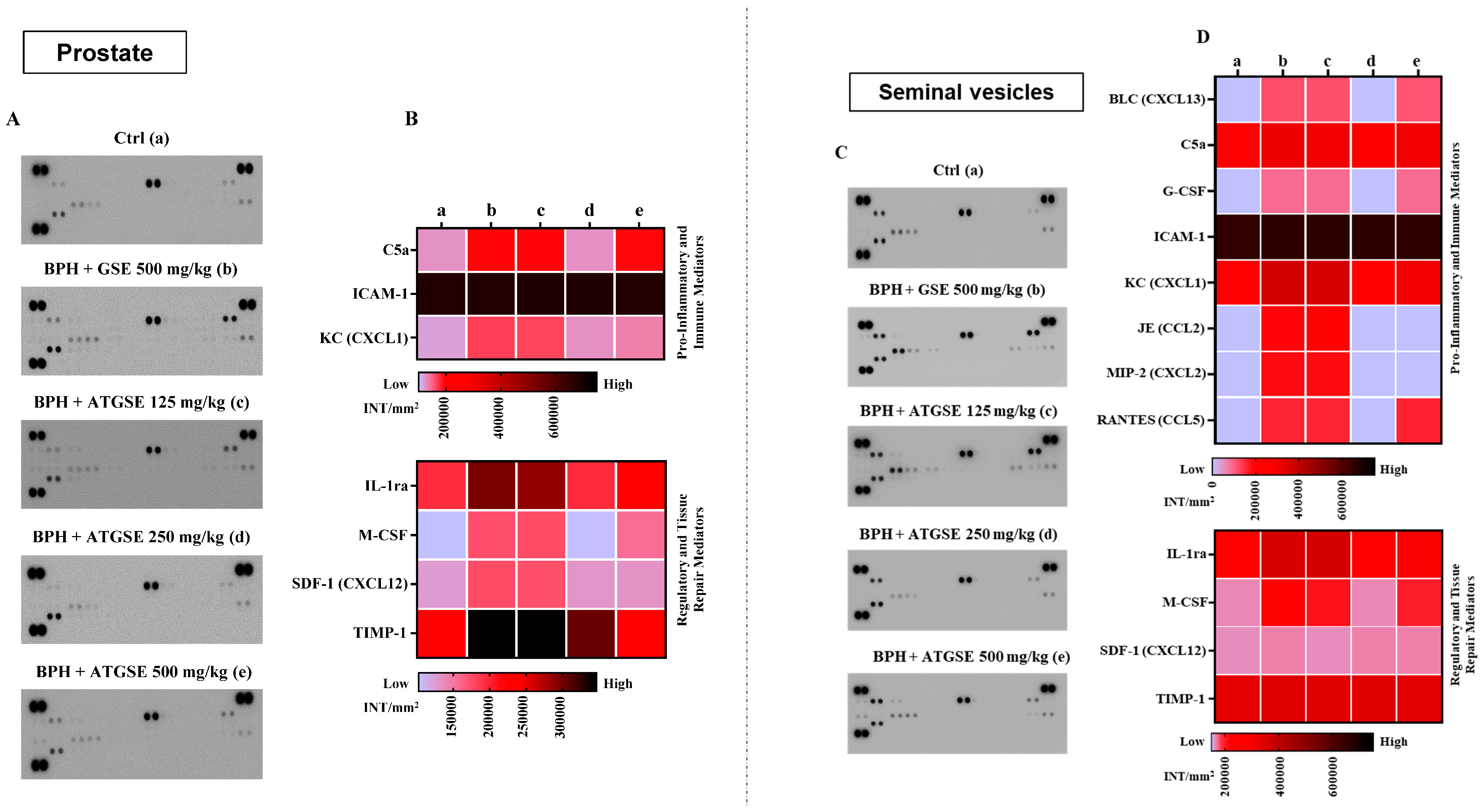 Nutrients 17 00073 g005 Nutrients 17 00073 g005