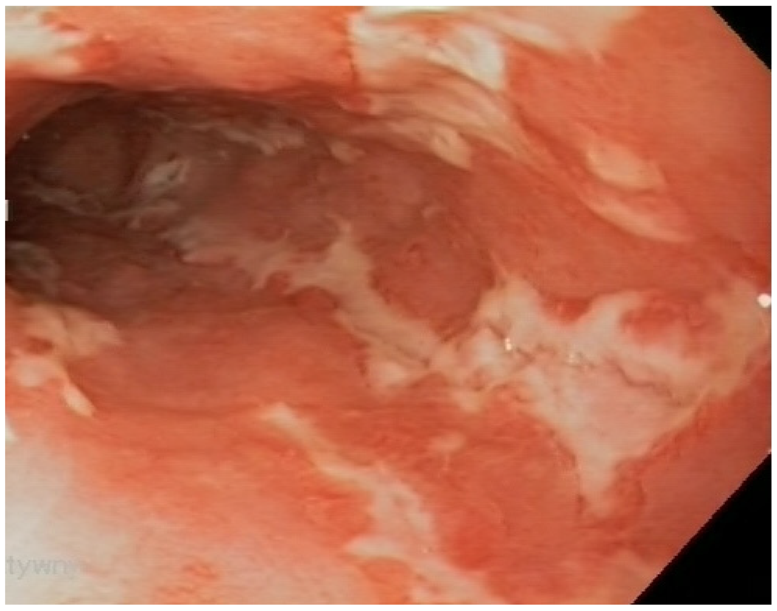 Nutrients 17 00074 g005
