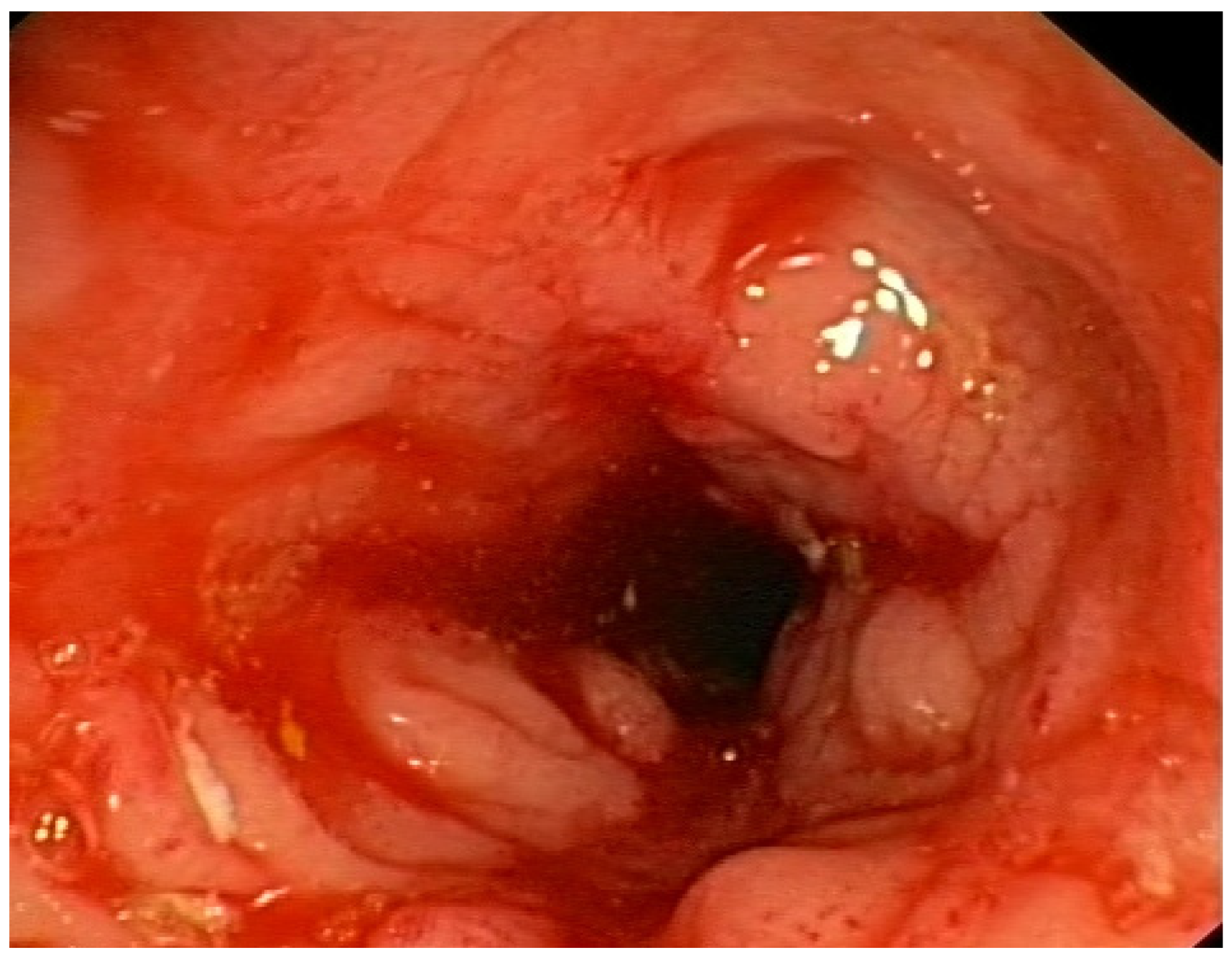 Nutrients 17 00074 g006
