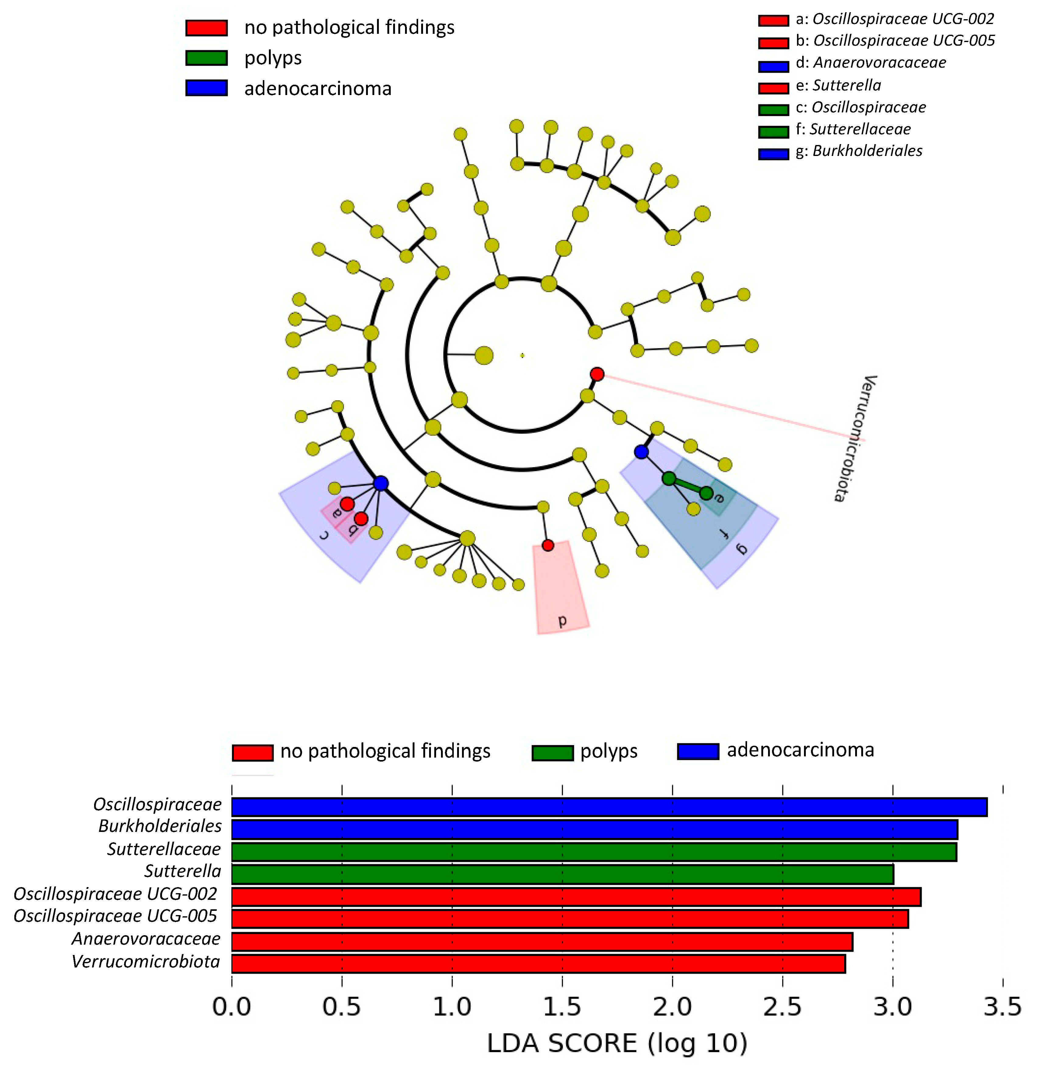 Nutrients 17 00084 g002