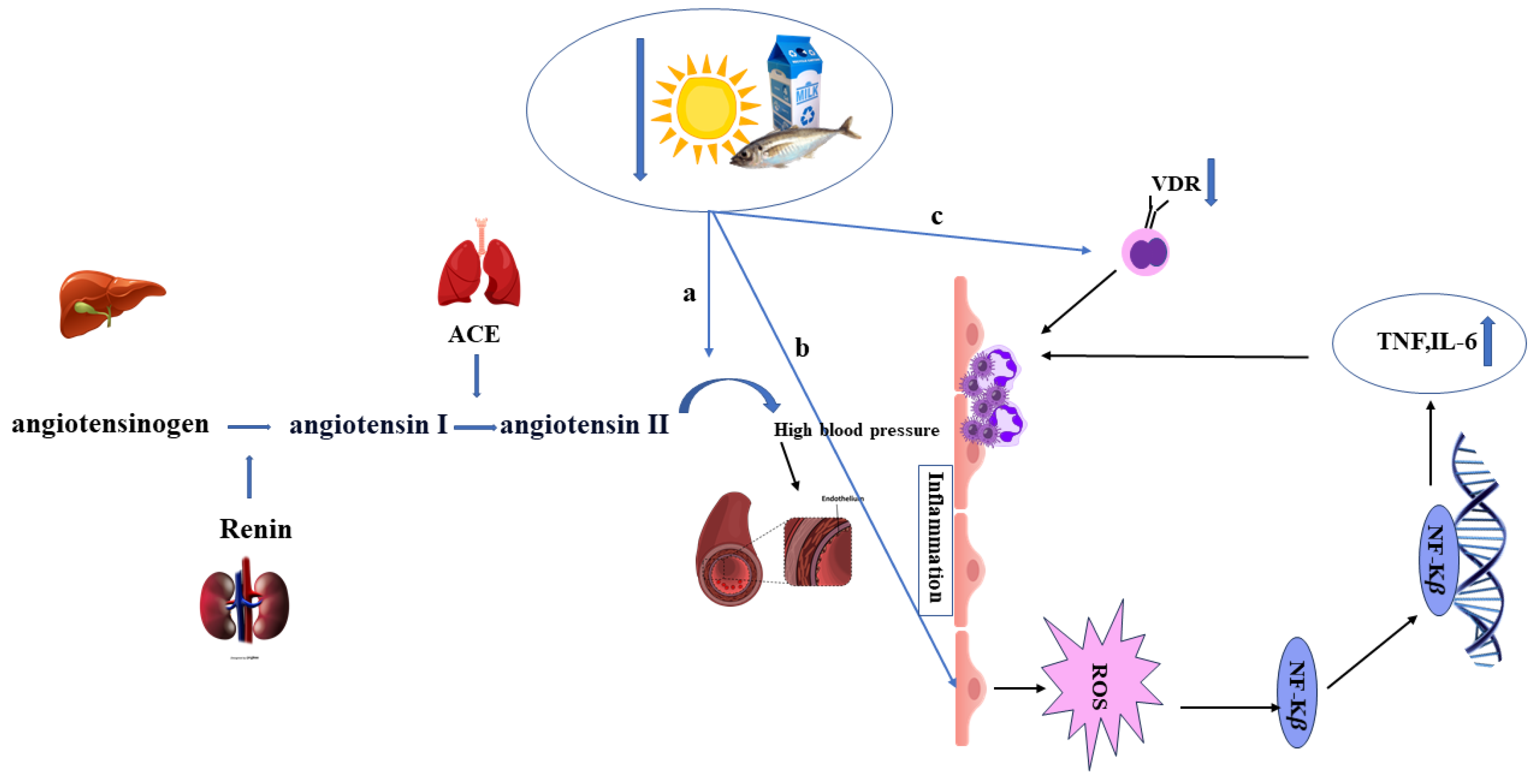 Recent Updates and Advances in the Association Between Vitamin D ...