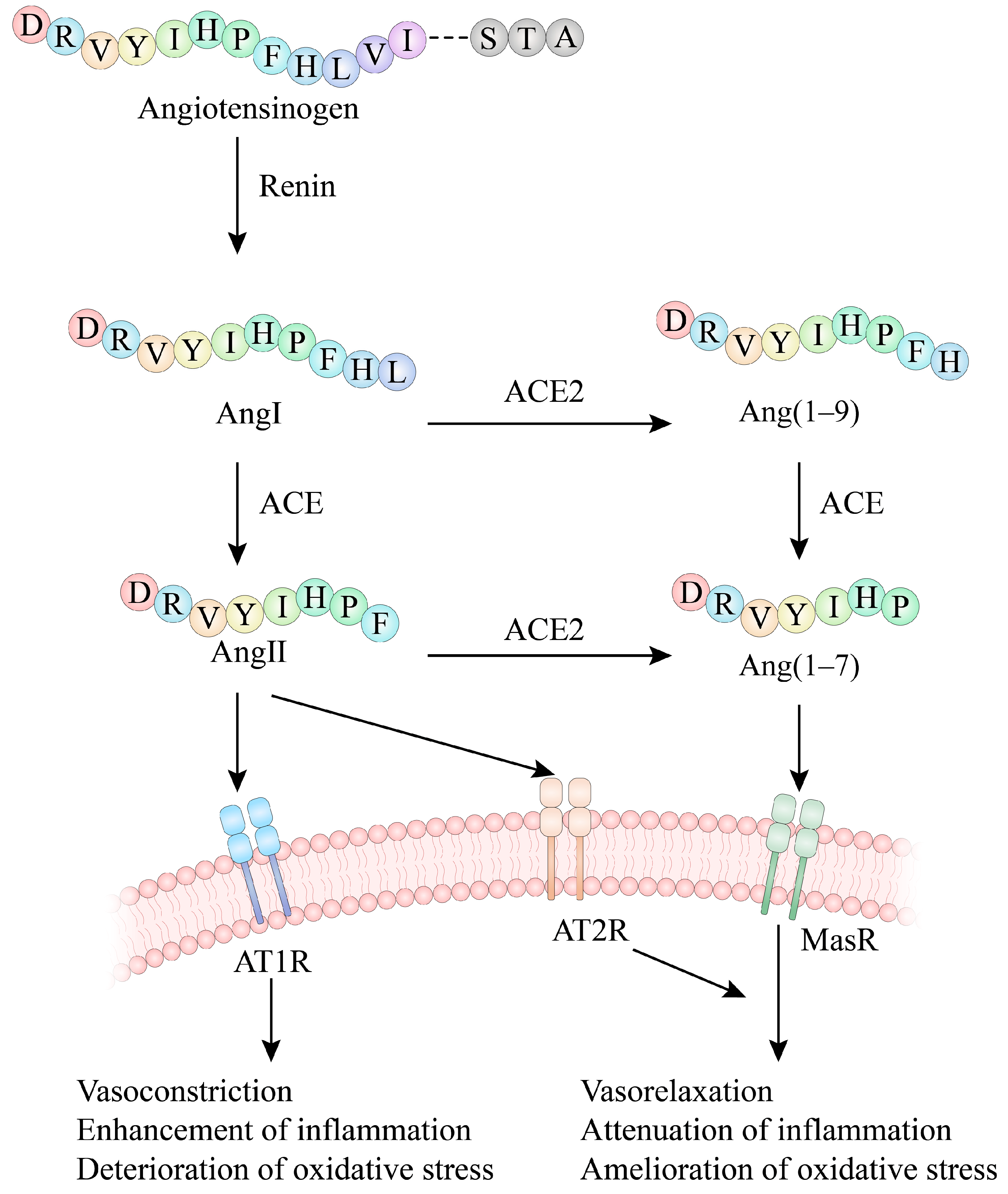 Nutrients 17 00097 g001