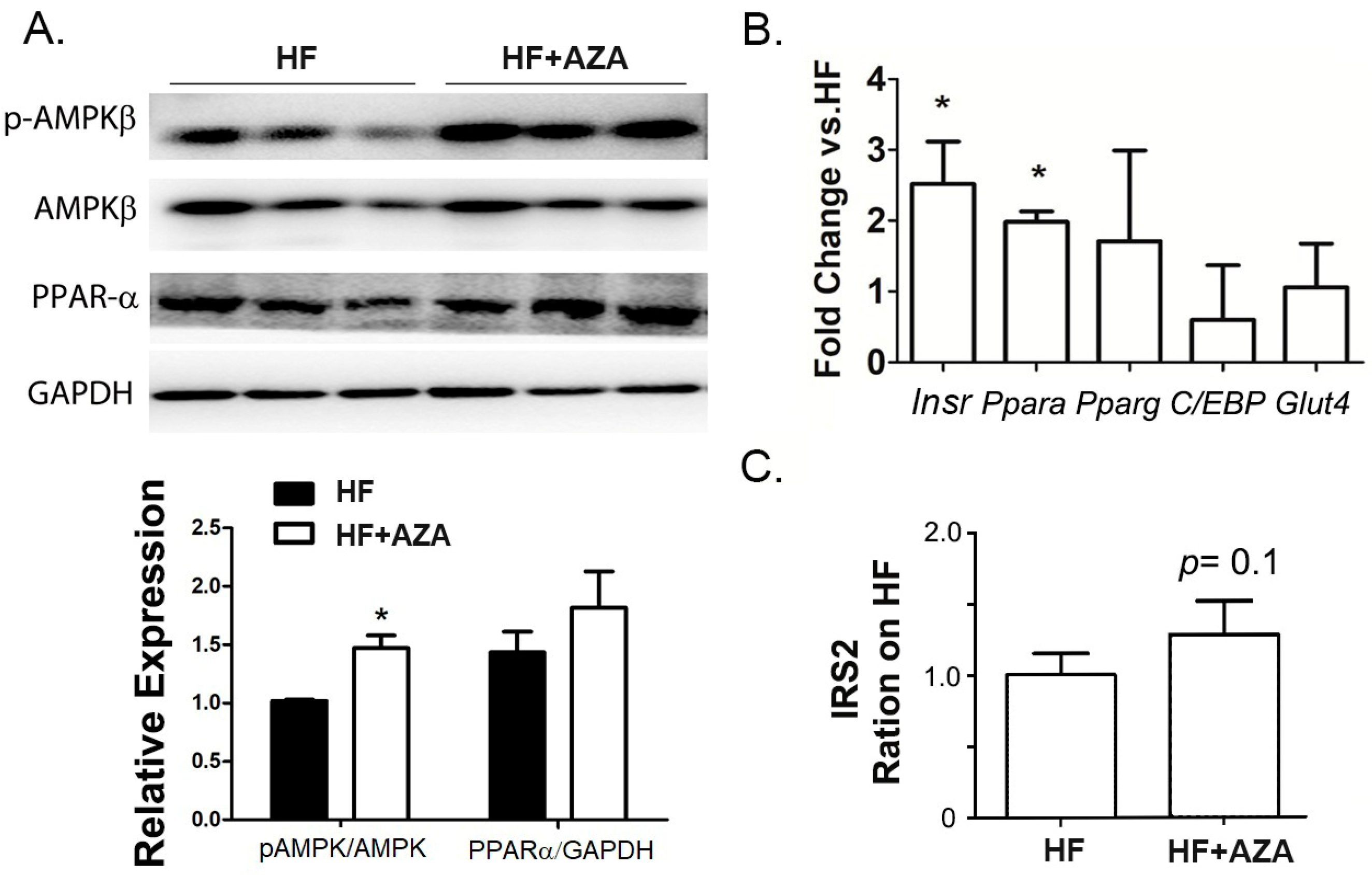 Nutrients 17 00106 g003