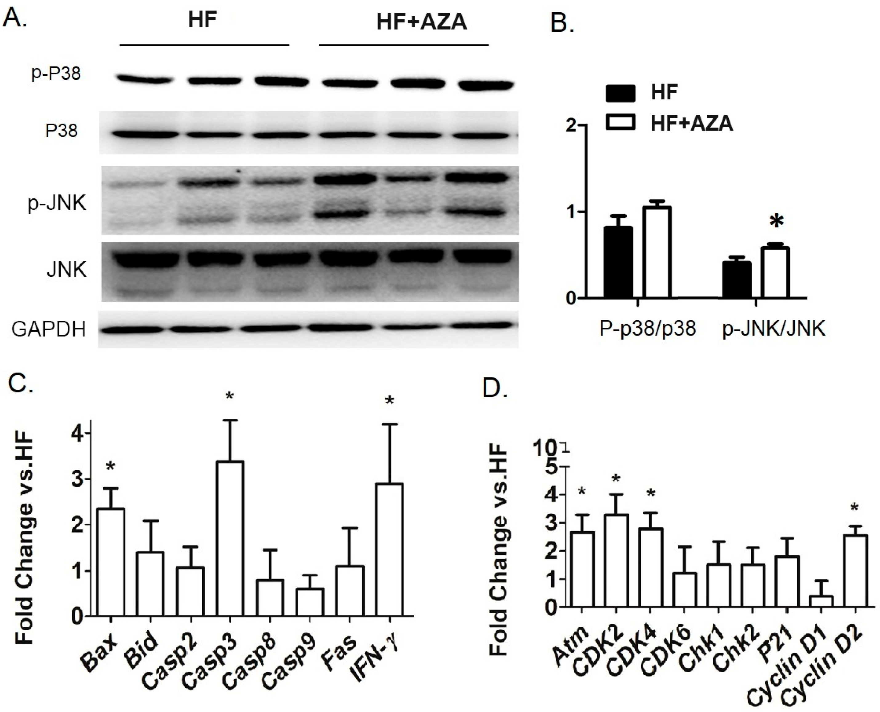 Nutrients 17 00106 g004