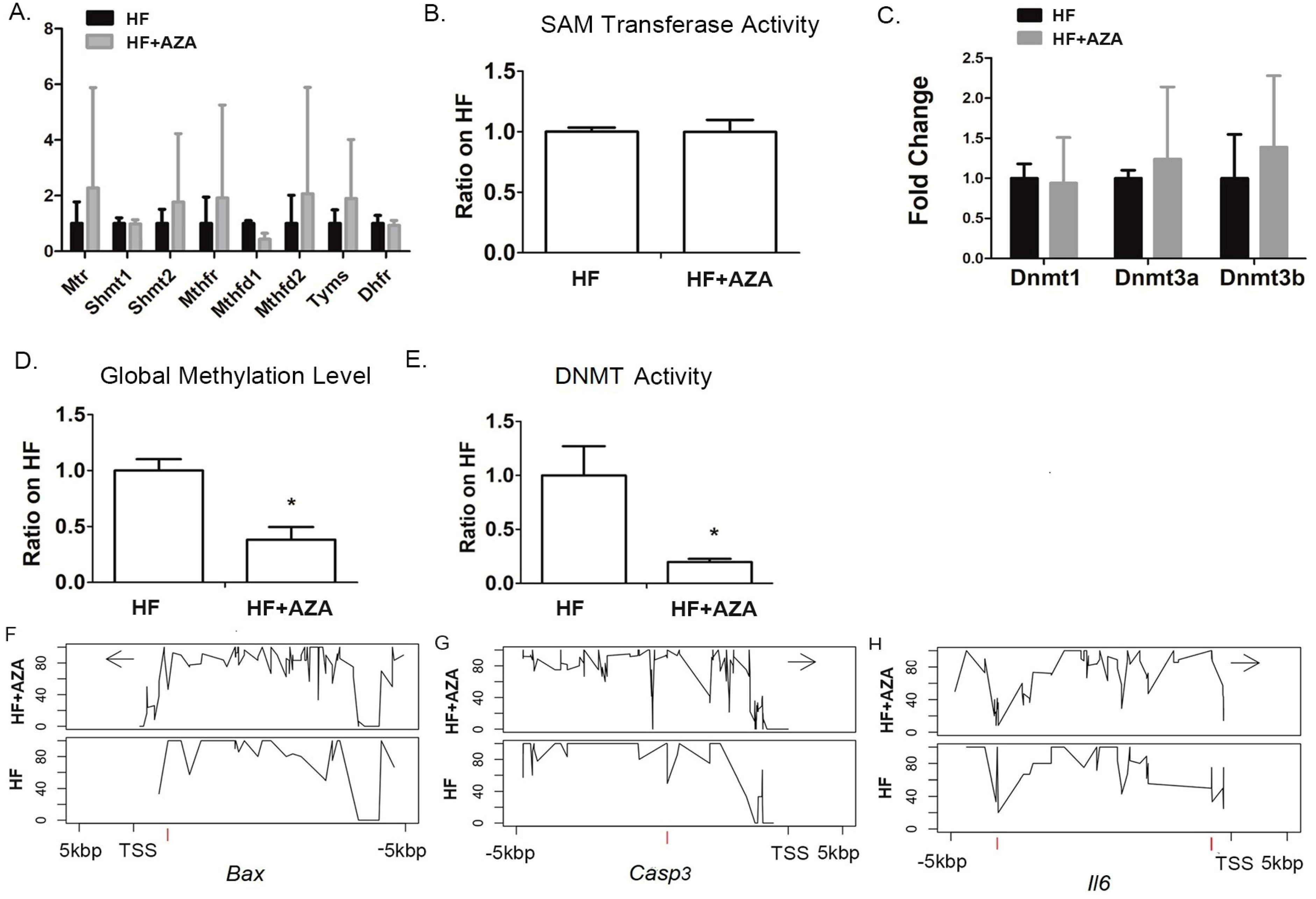Nutrients 17 00106 g006