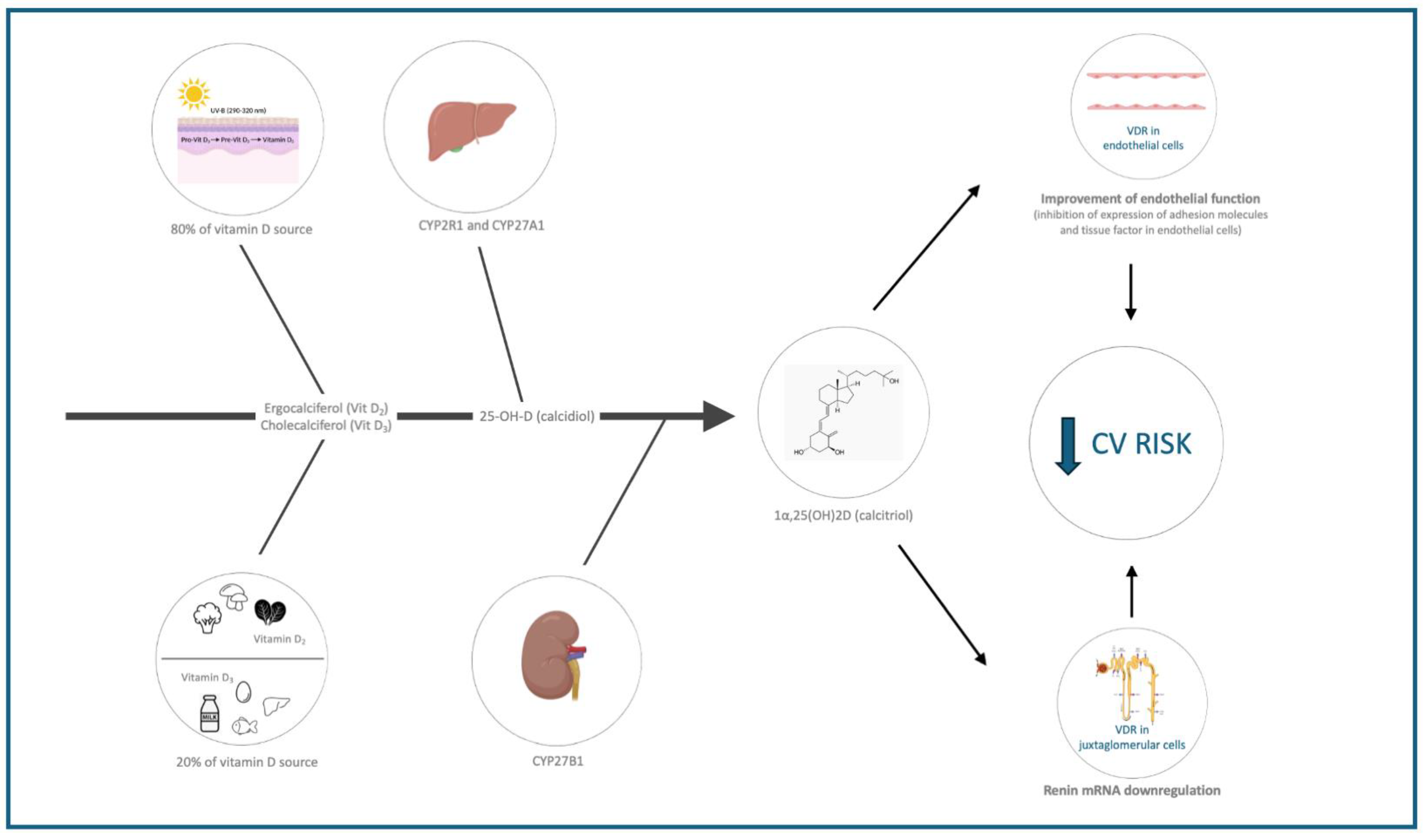 Nutrients 17 00115 g001