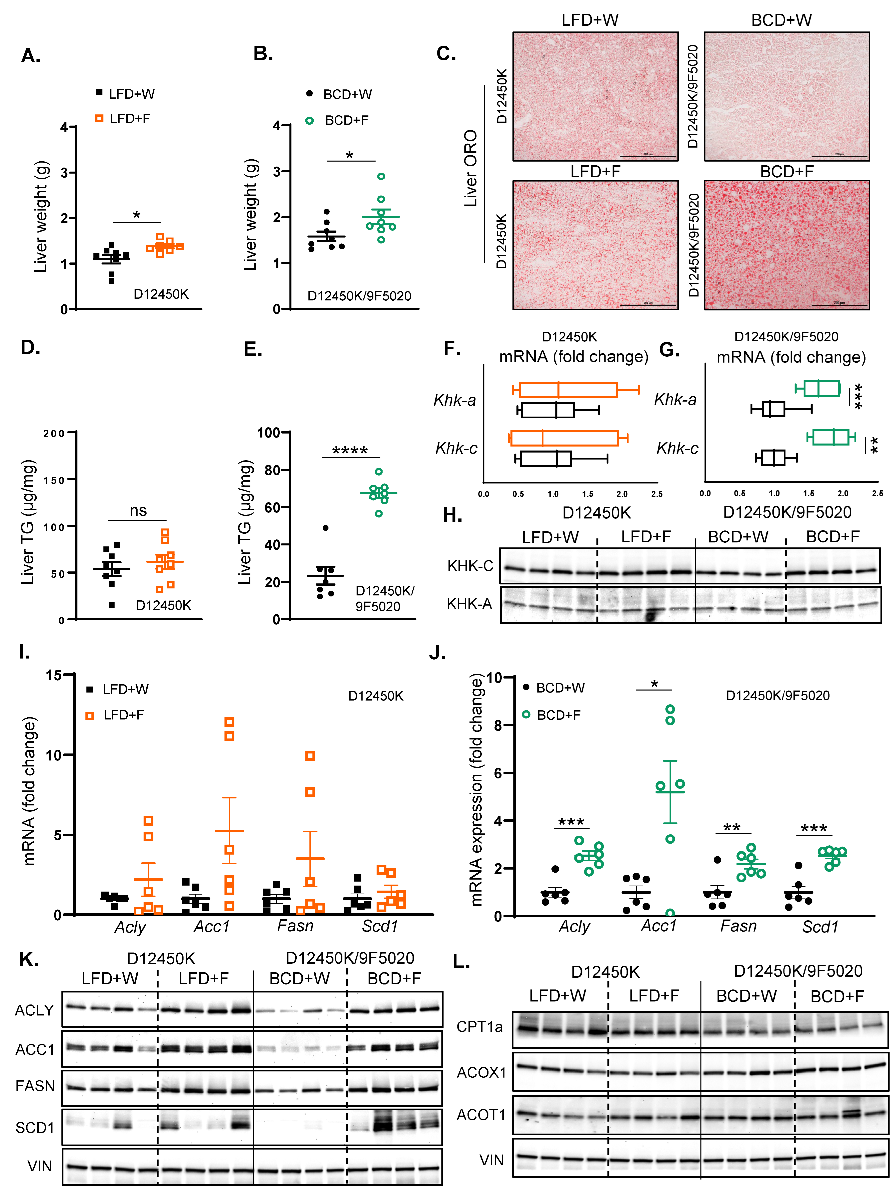 Nutrients 17 00124 g004