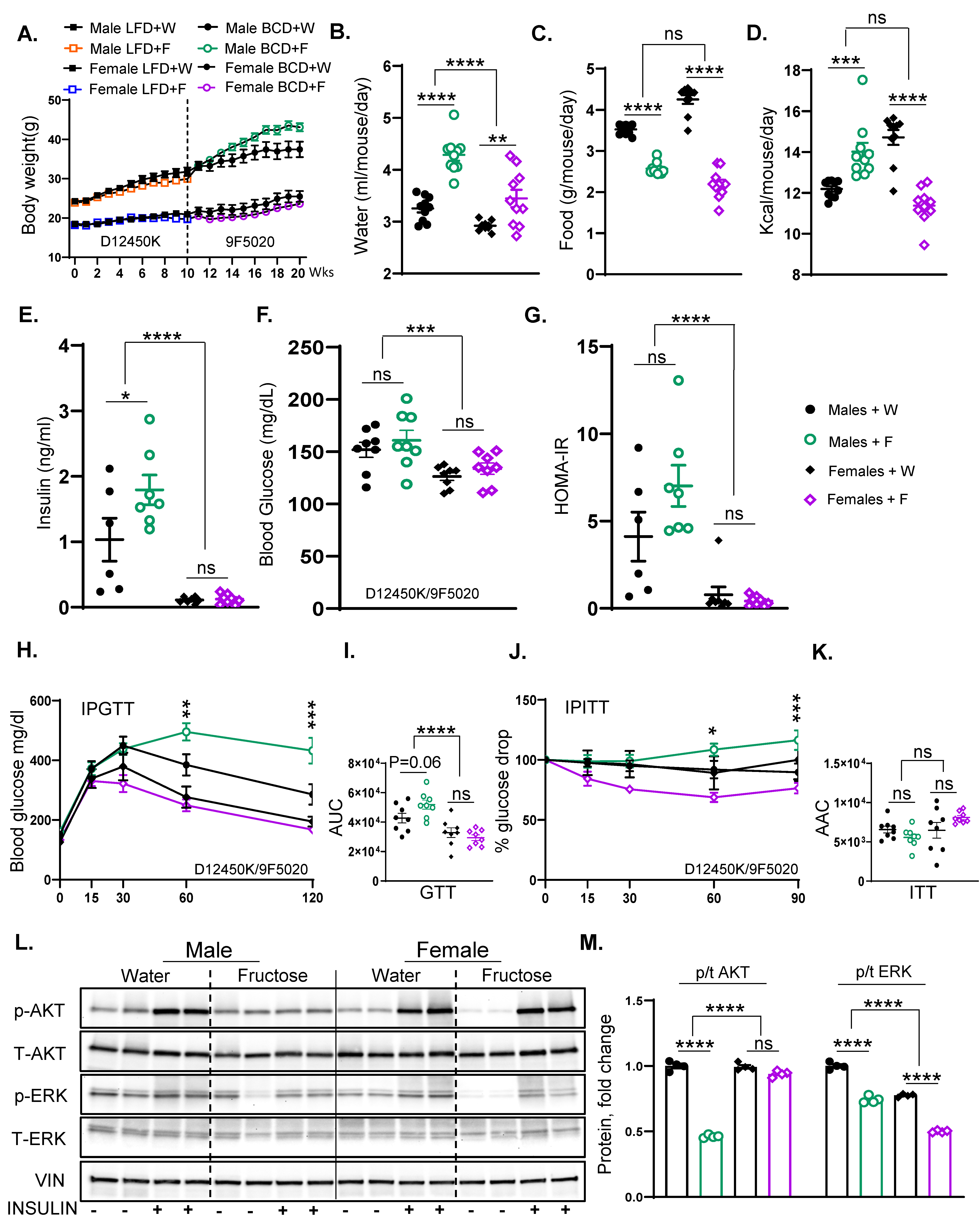 Nutrients 17 00124 g005