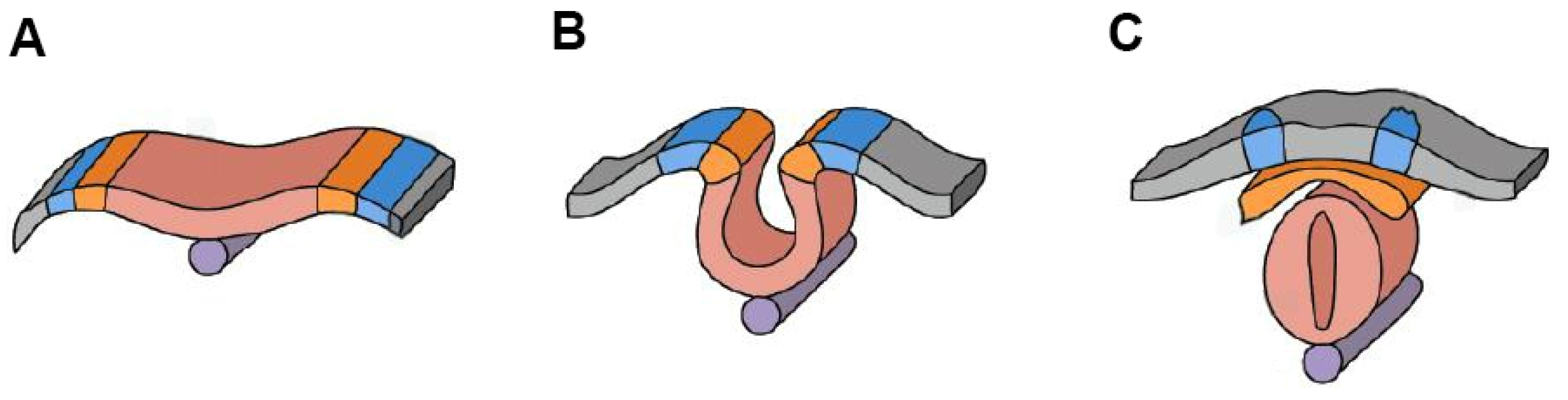 Nutrients 17 00126 g002