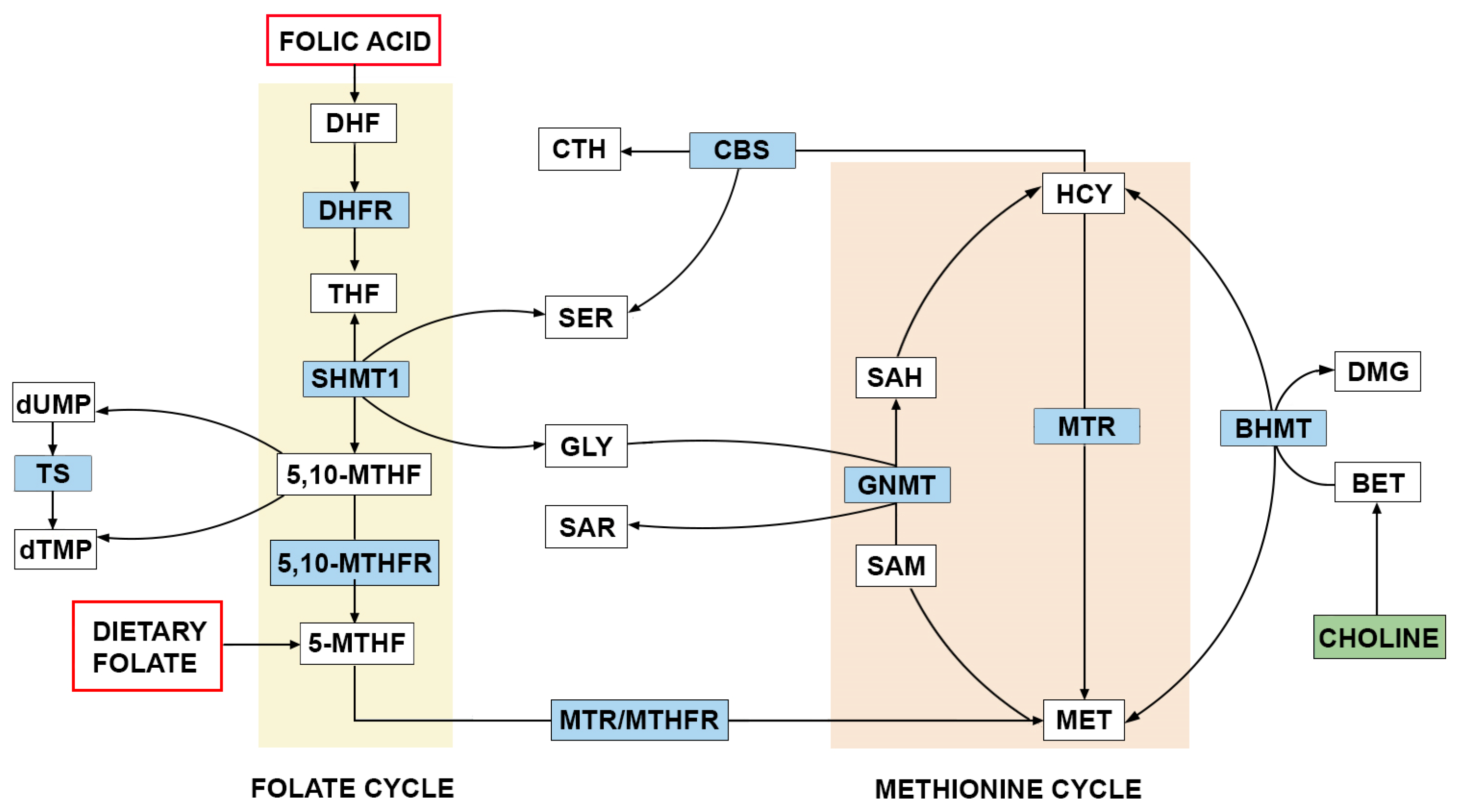 Nutrients 17 00126 g003
