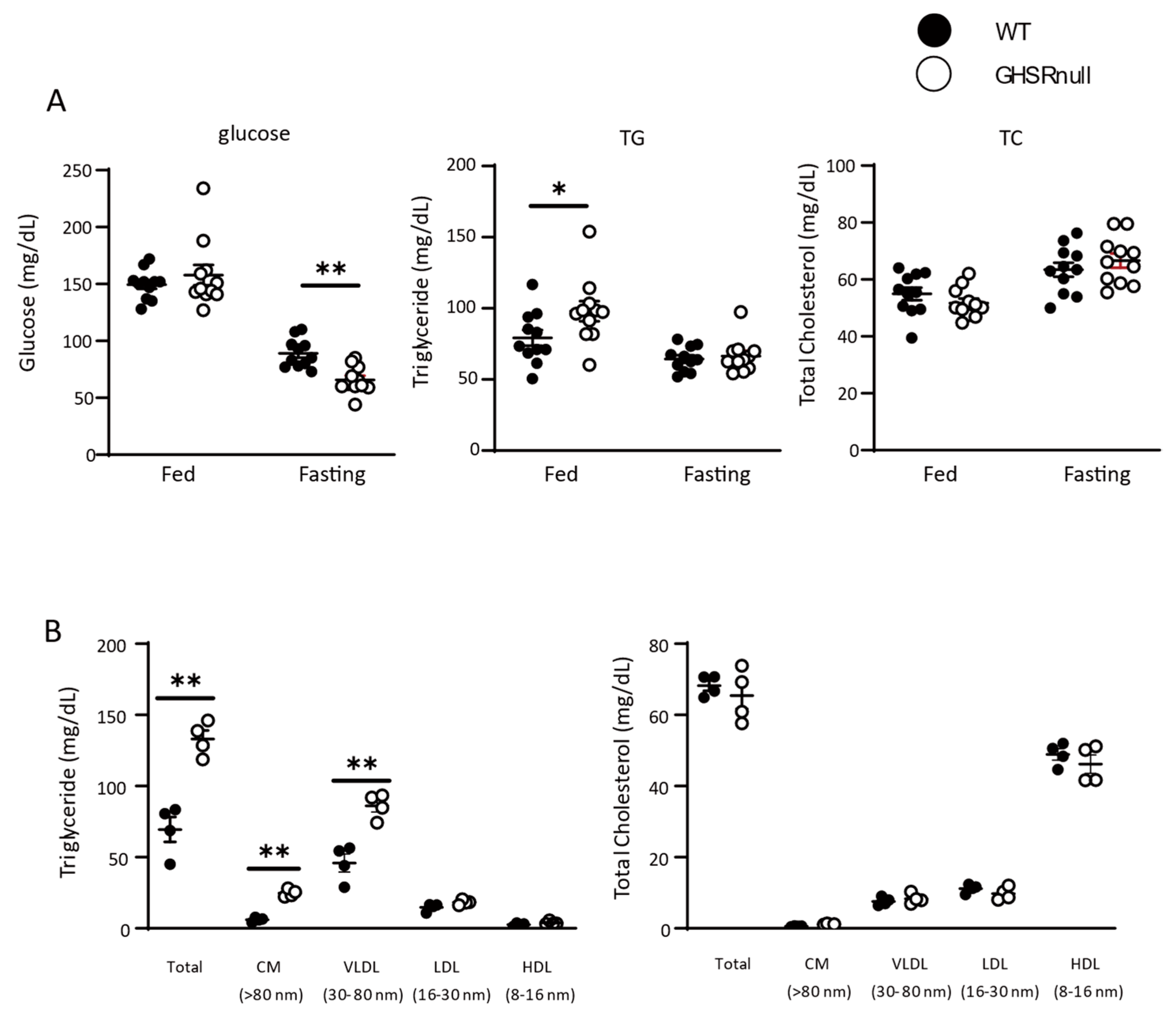 Nutrients 17 00146 g002
